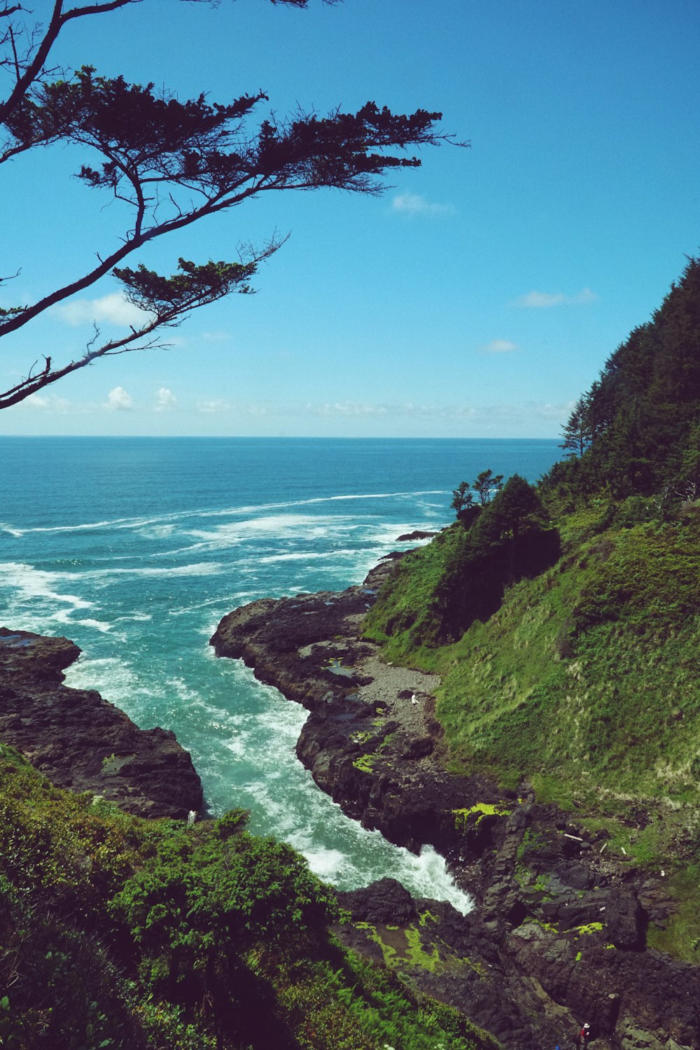 a beach with trees and a body of water