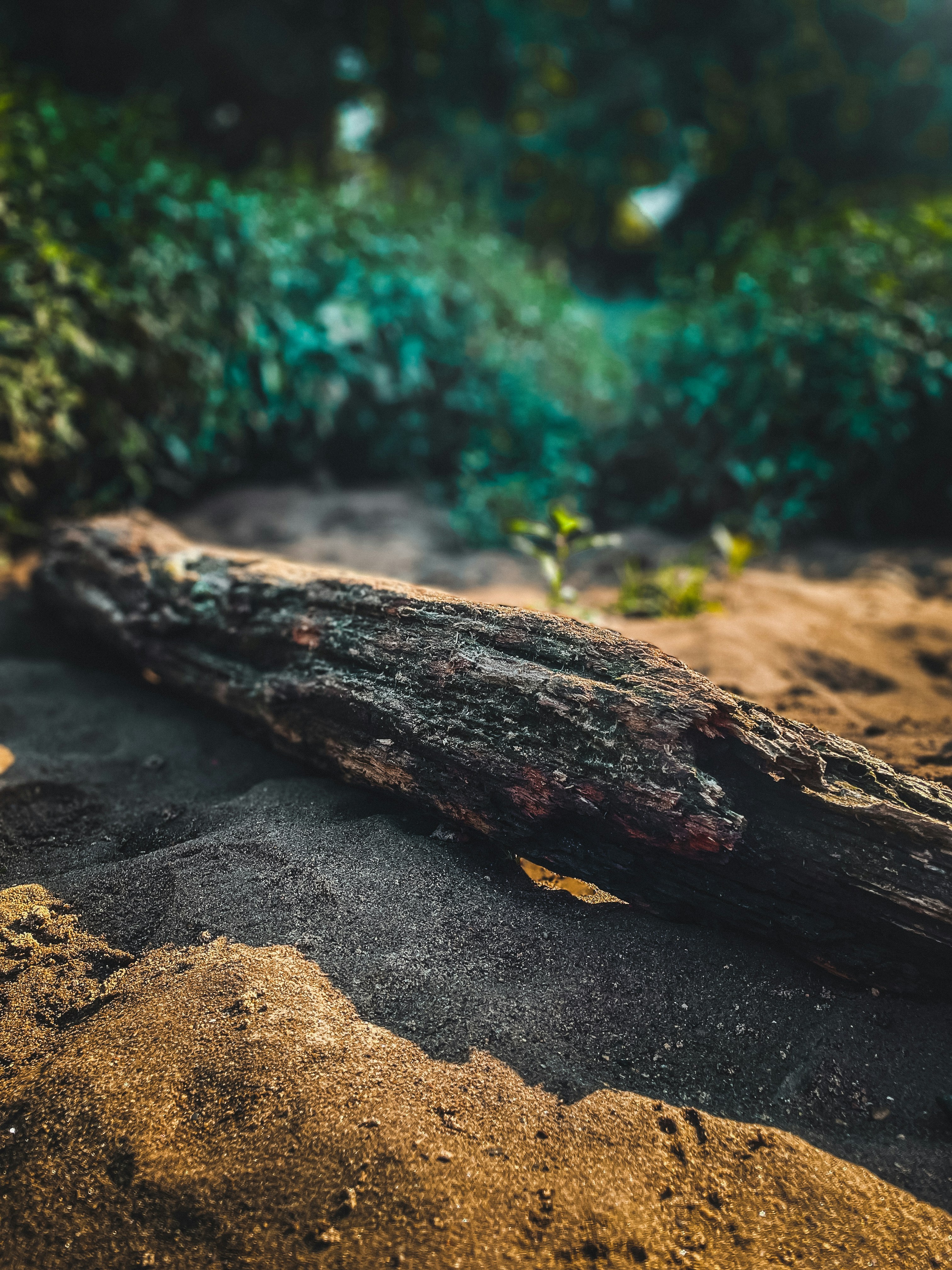 Photo by brice_cooper18