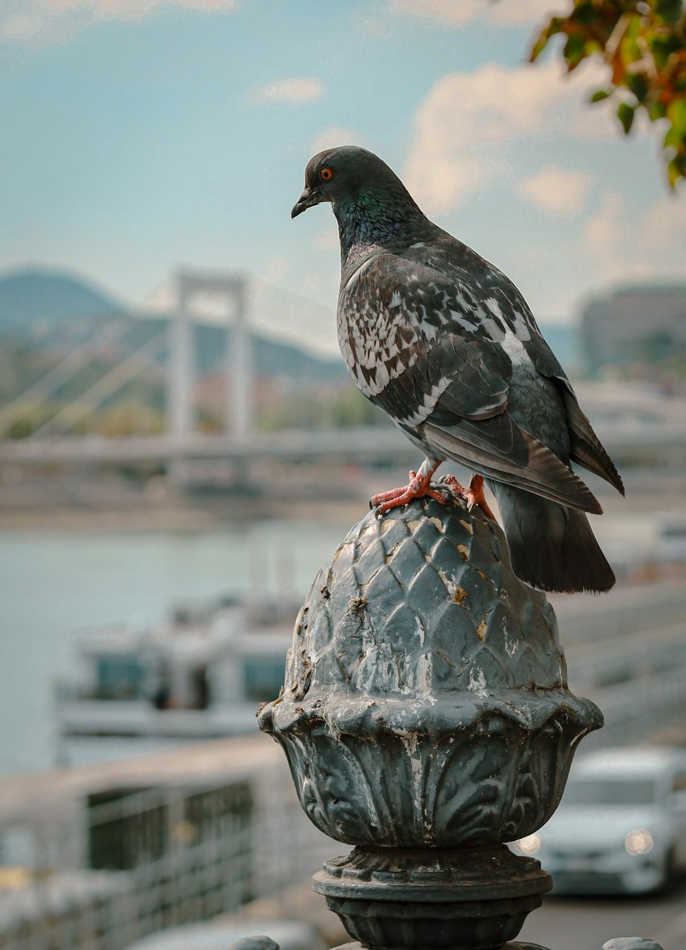 Un pájaro sentado en una fuente