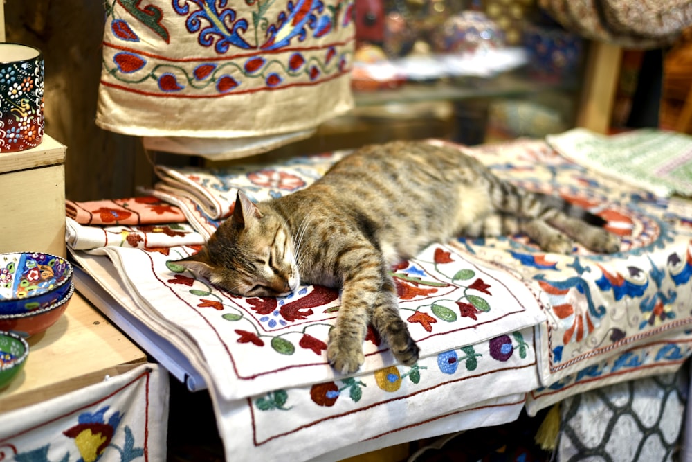 a cat sleeping on a chair