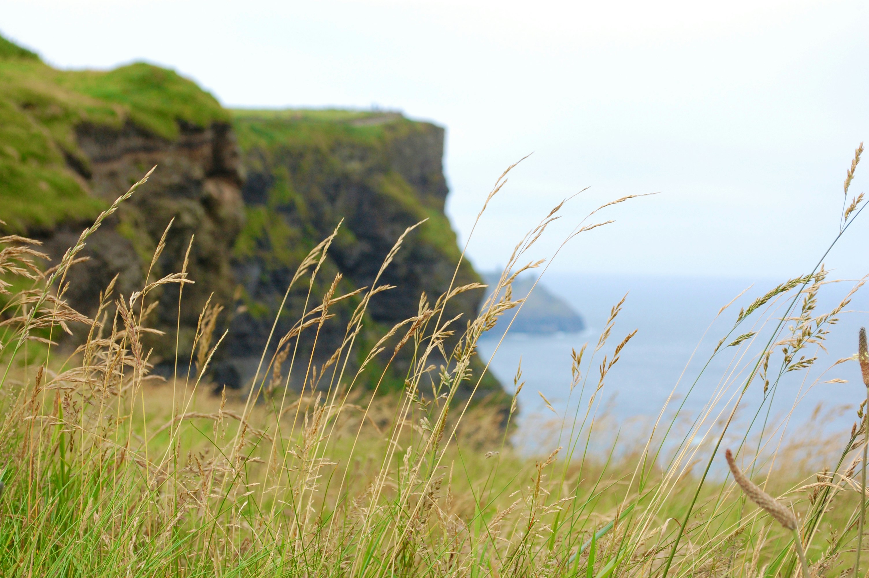 Photo by jackieburtch