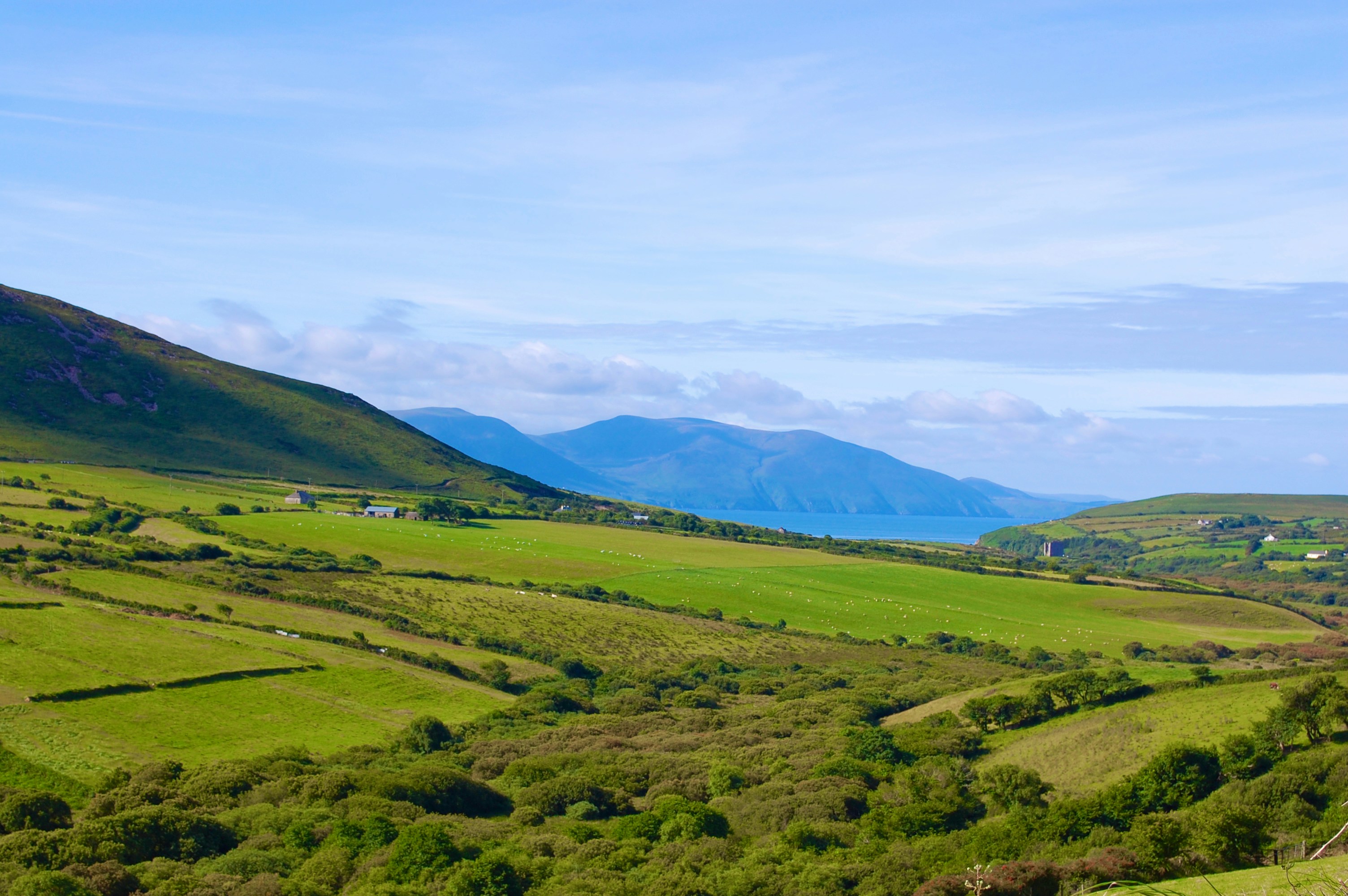 Photo by jackieburtch