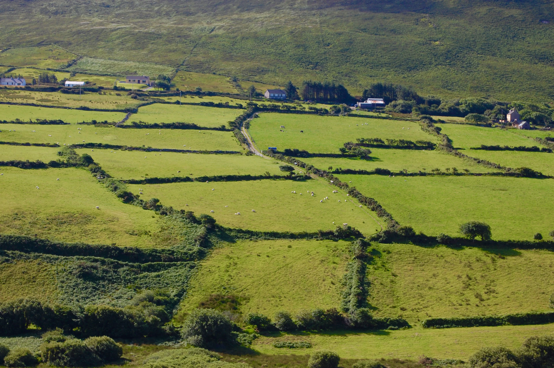 a landscape with houses and trees