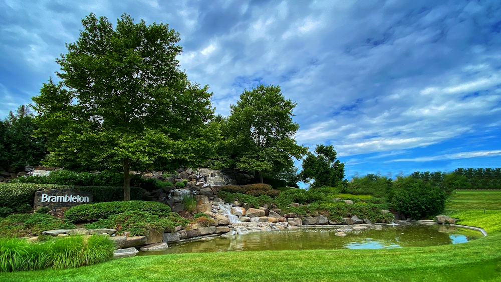 a pond with trees and rocks around it