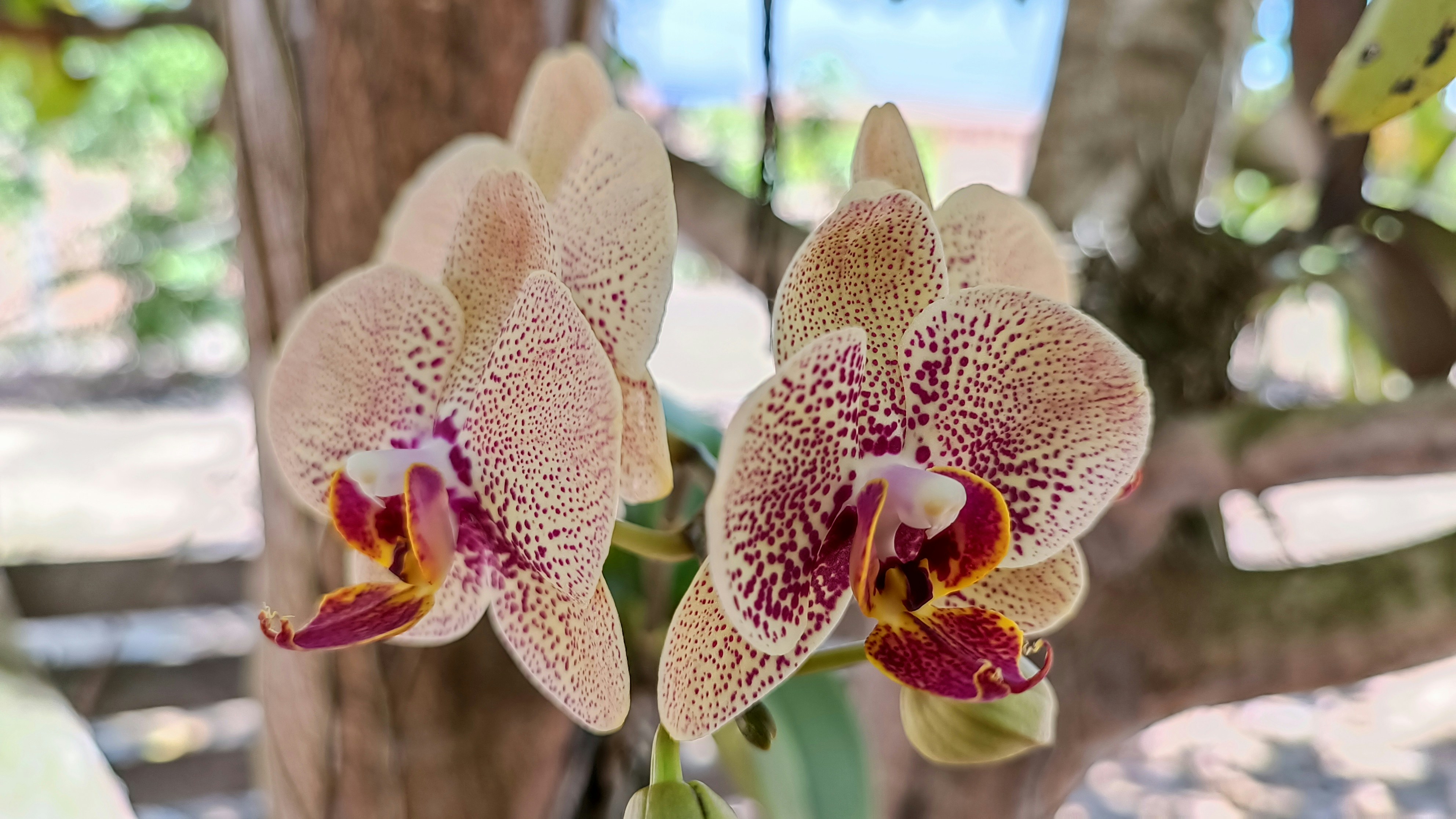 Photo by dienyportinanni