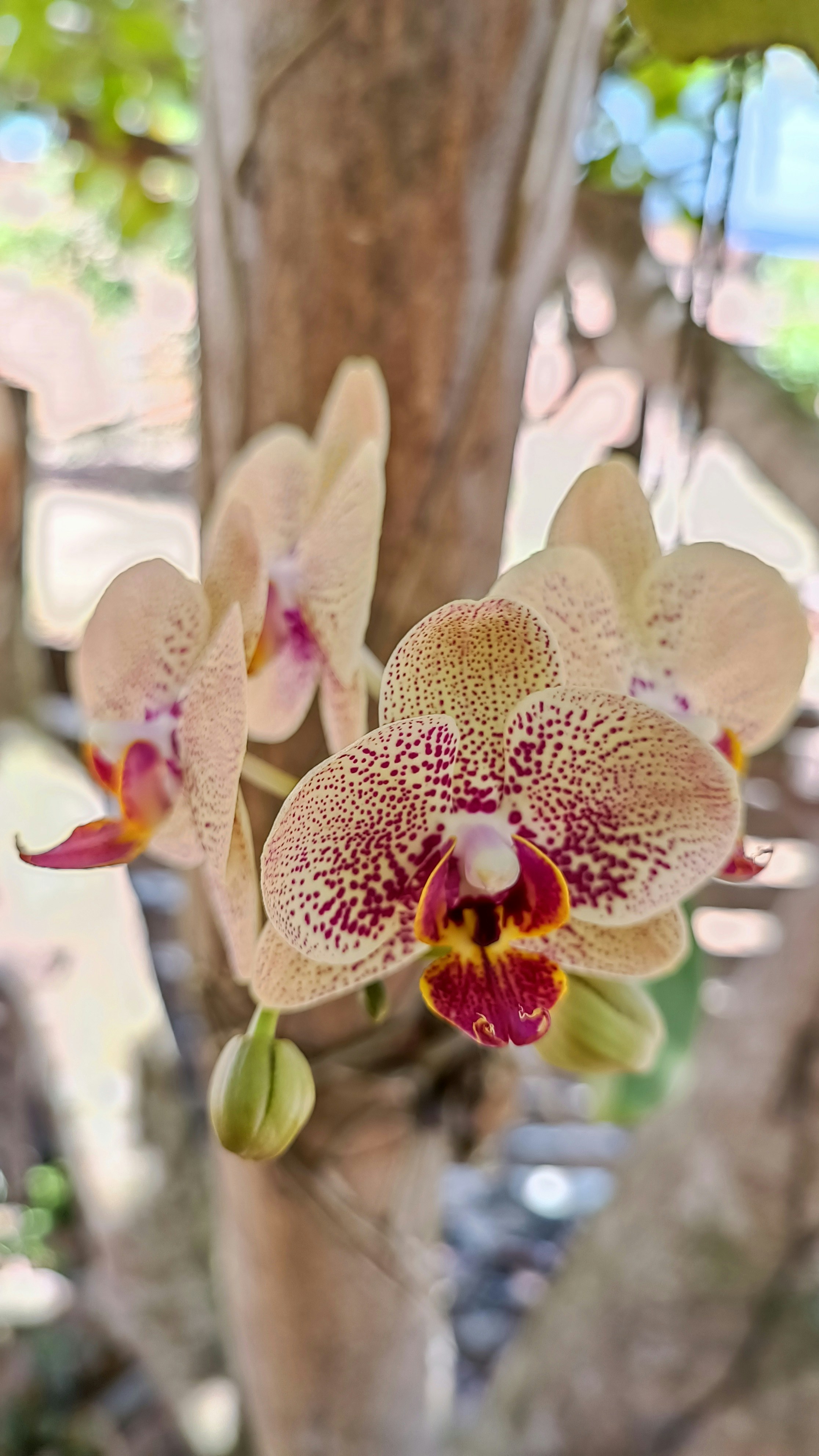 Photo by dienyportinanni