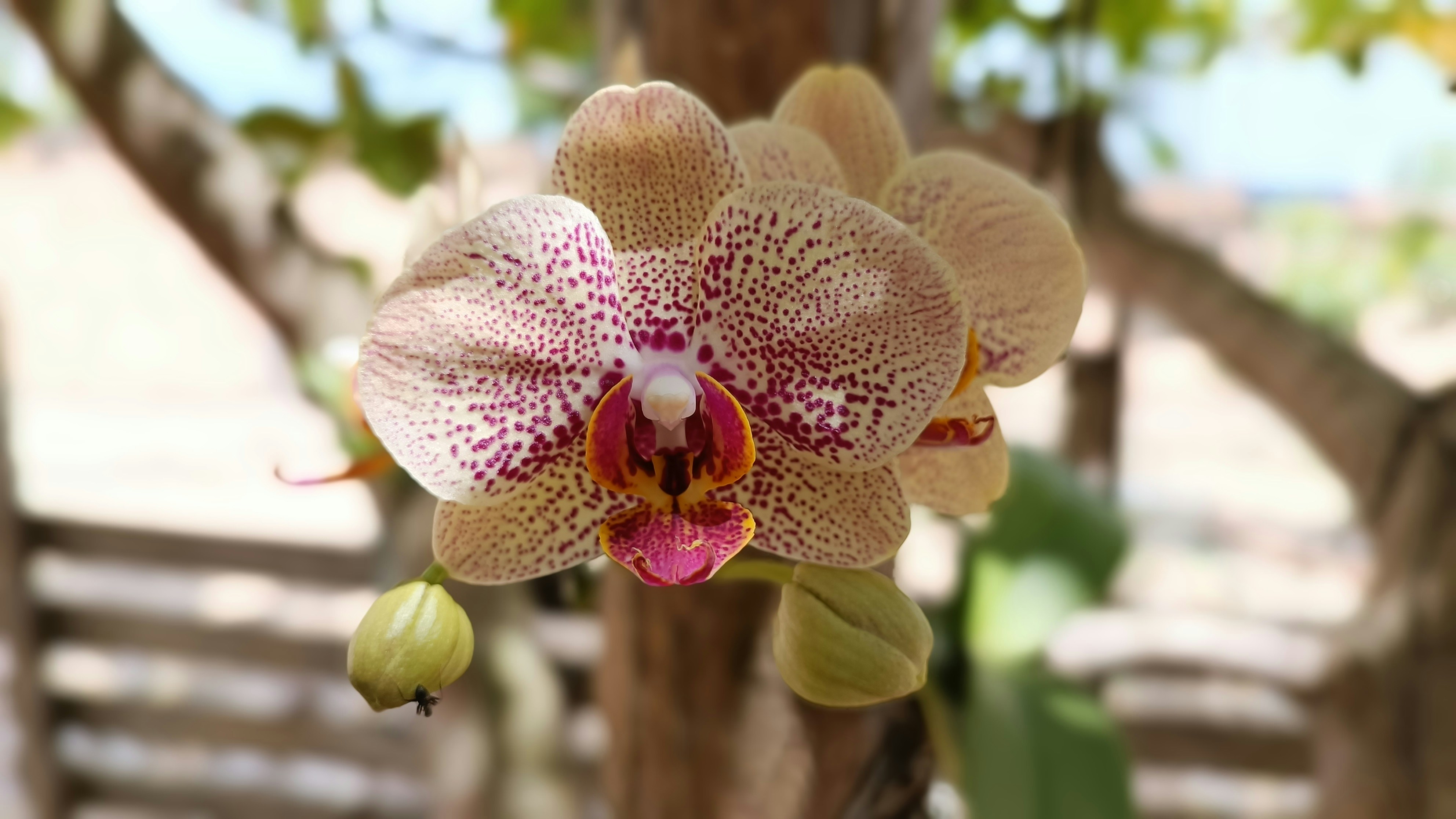 Photo by dienyportinanni