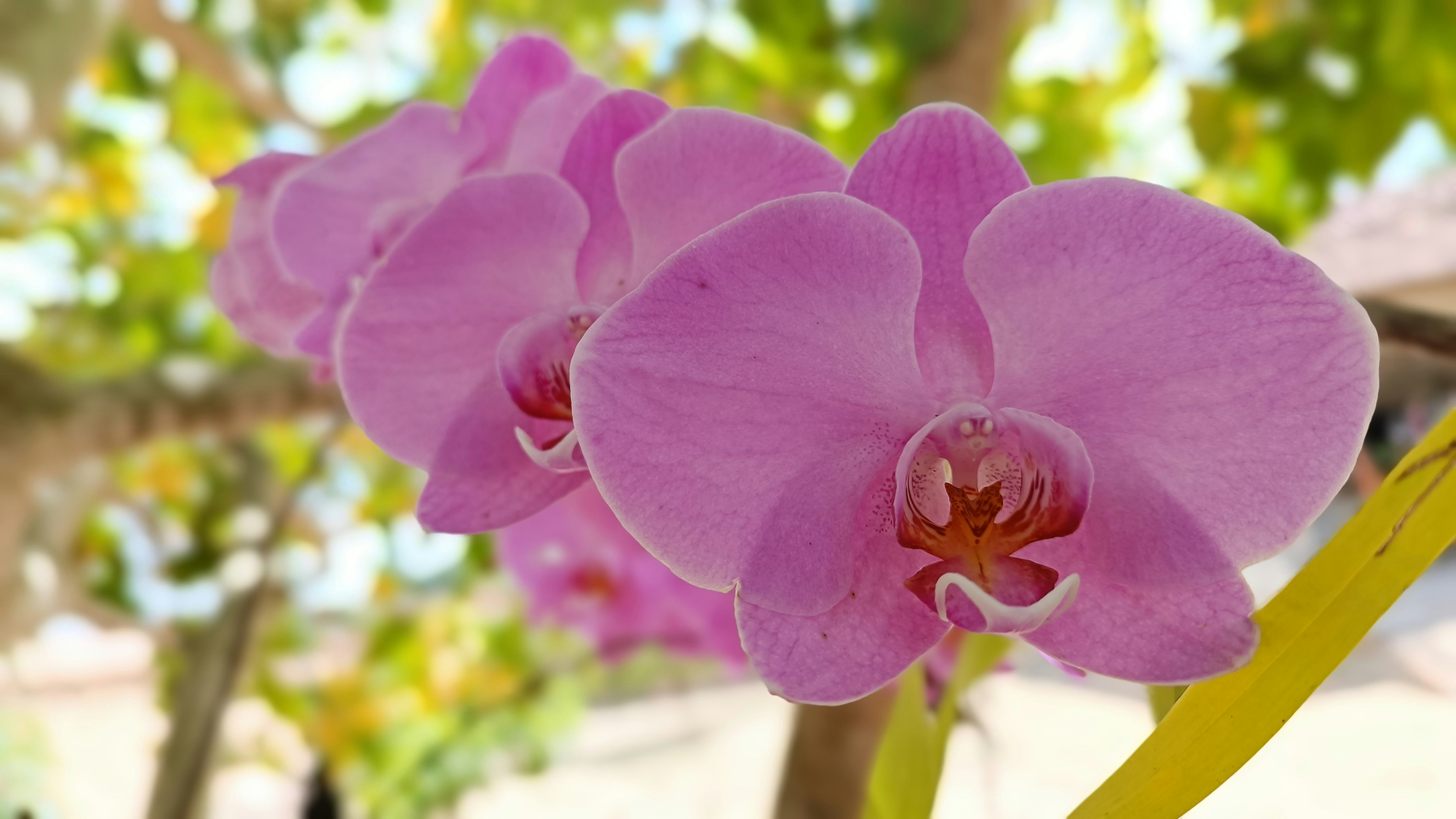 Photo by dienyportinanni