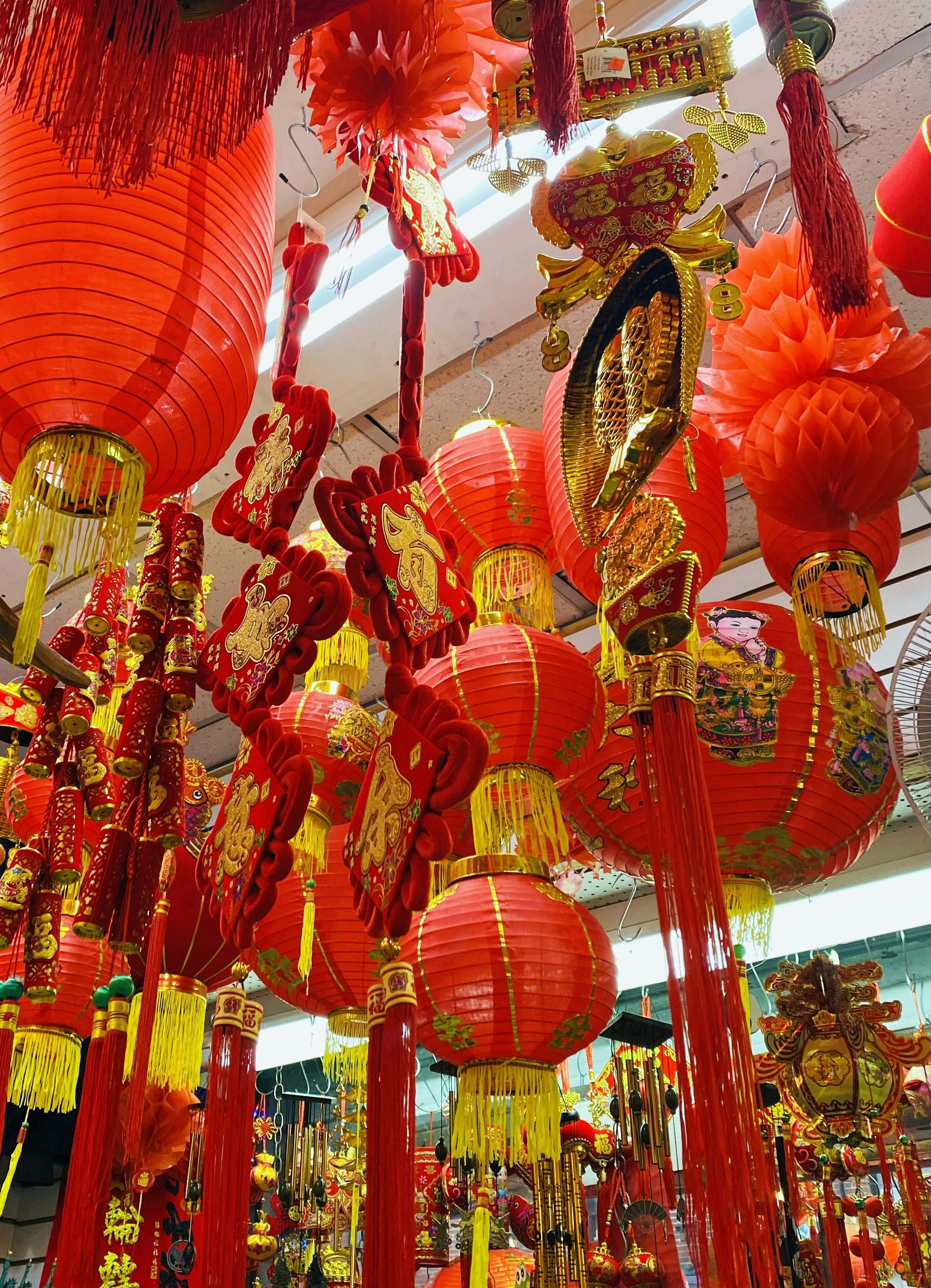 Photo by dacxilia_deras_ny