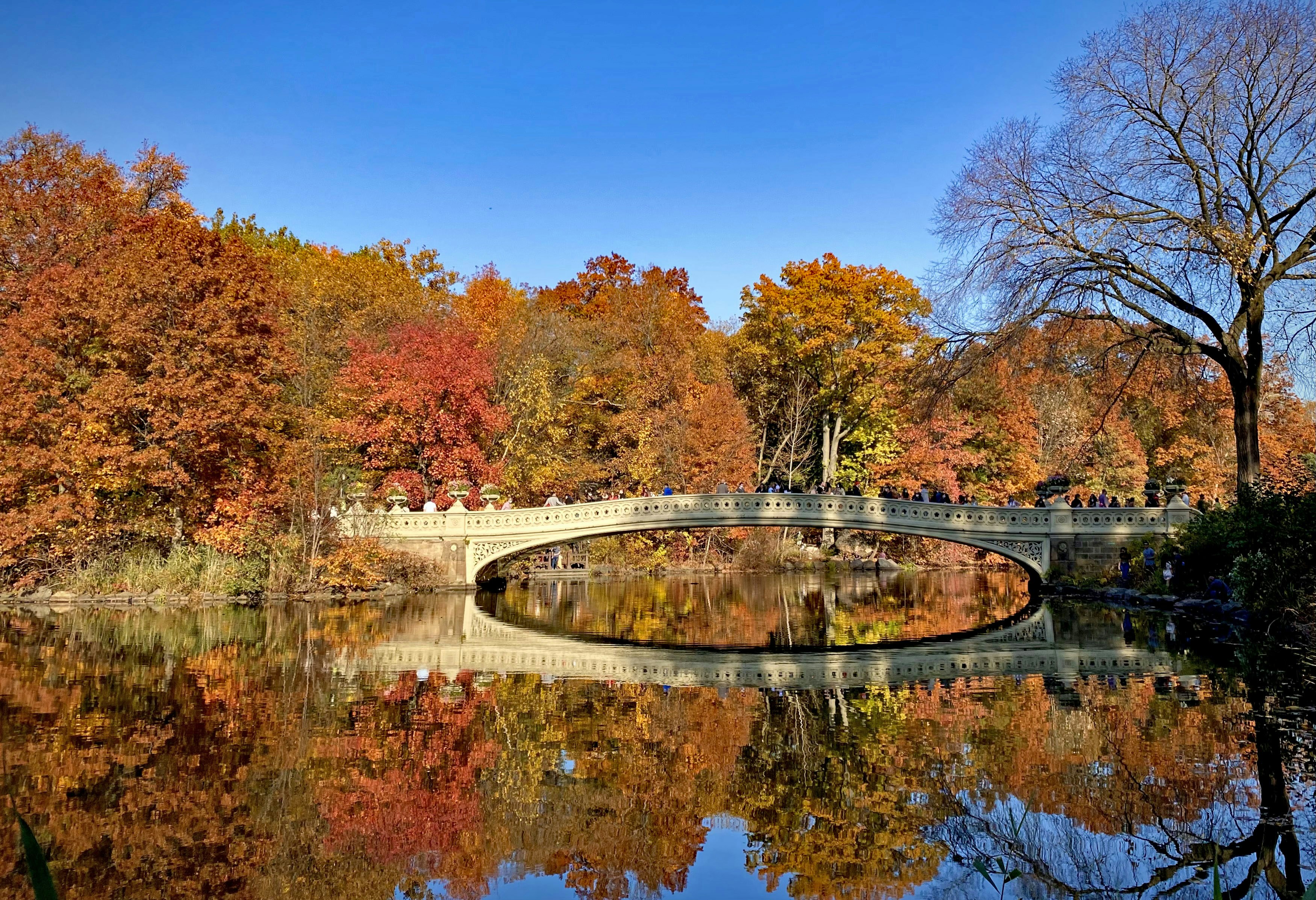 Photo by dacxilia_deras_ny