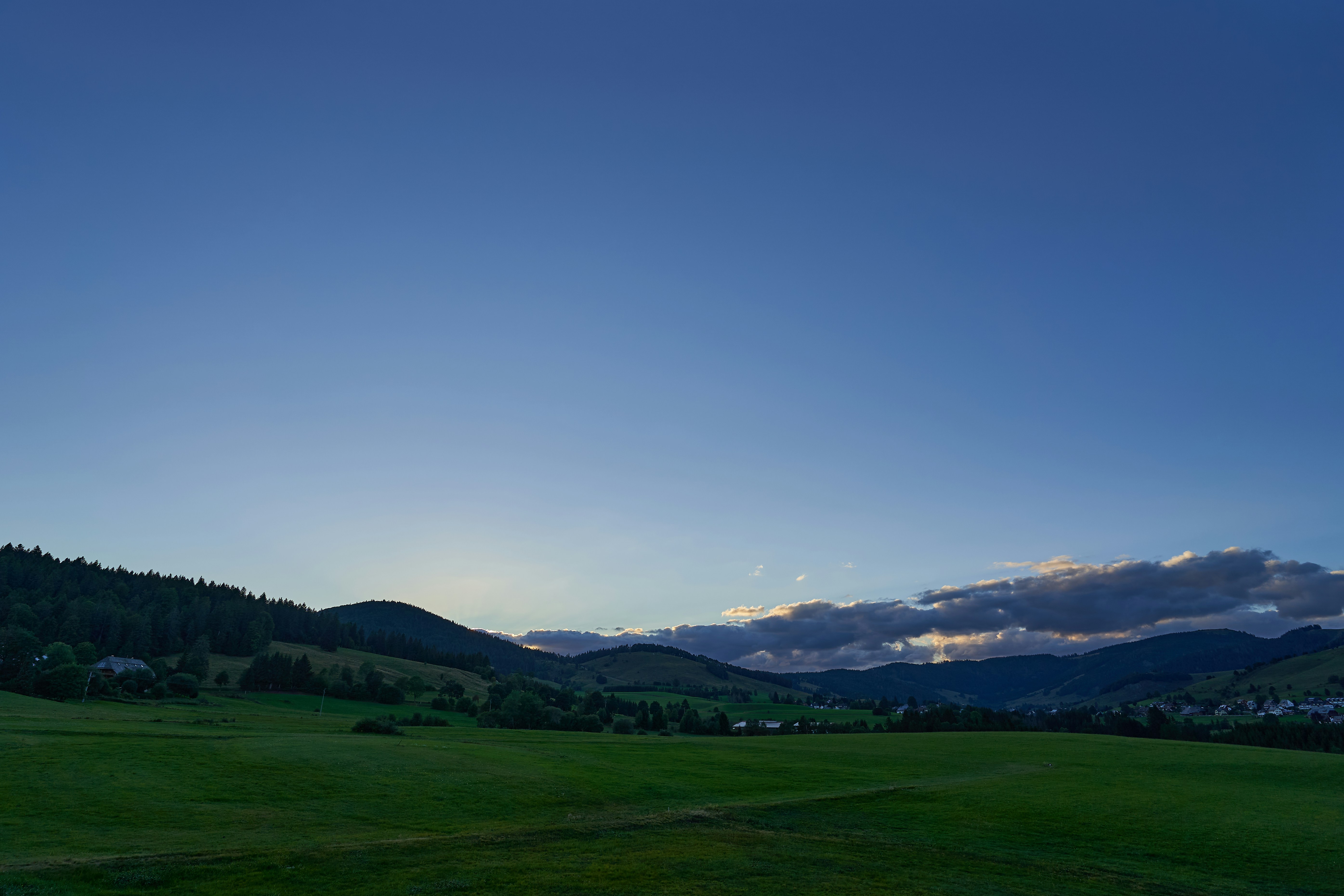 Photo by wolfgang_hasselmann