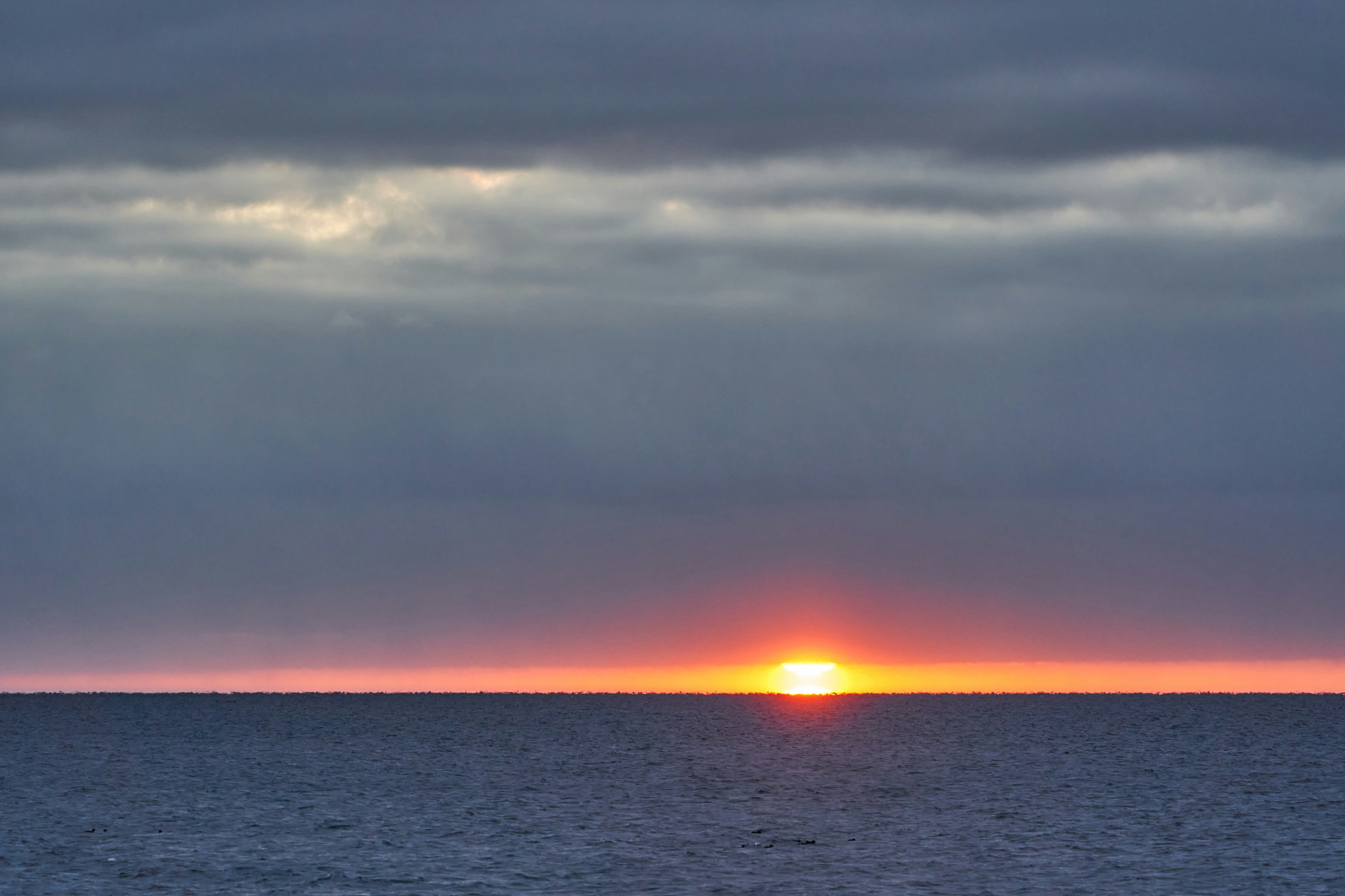 Photo by wolfgang_hasselmann