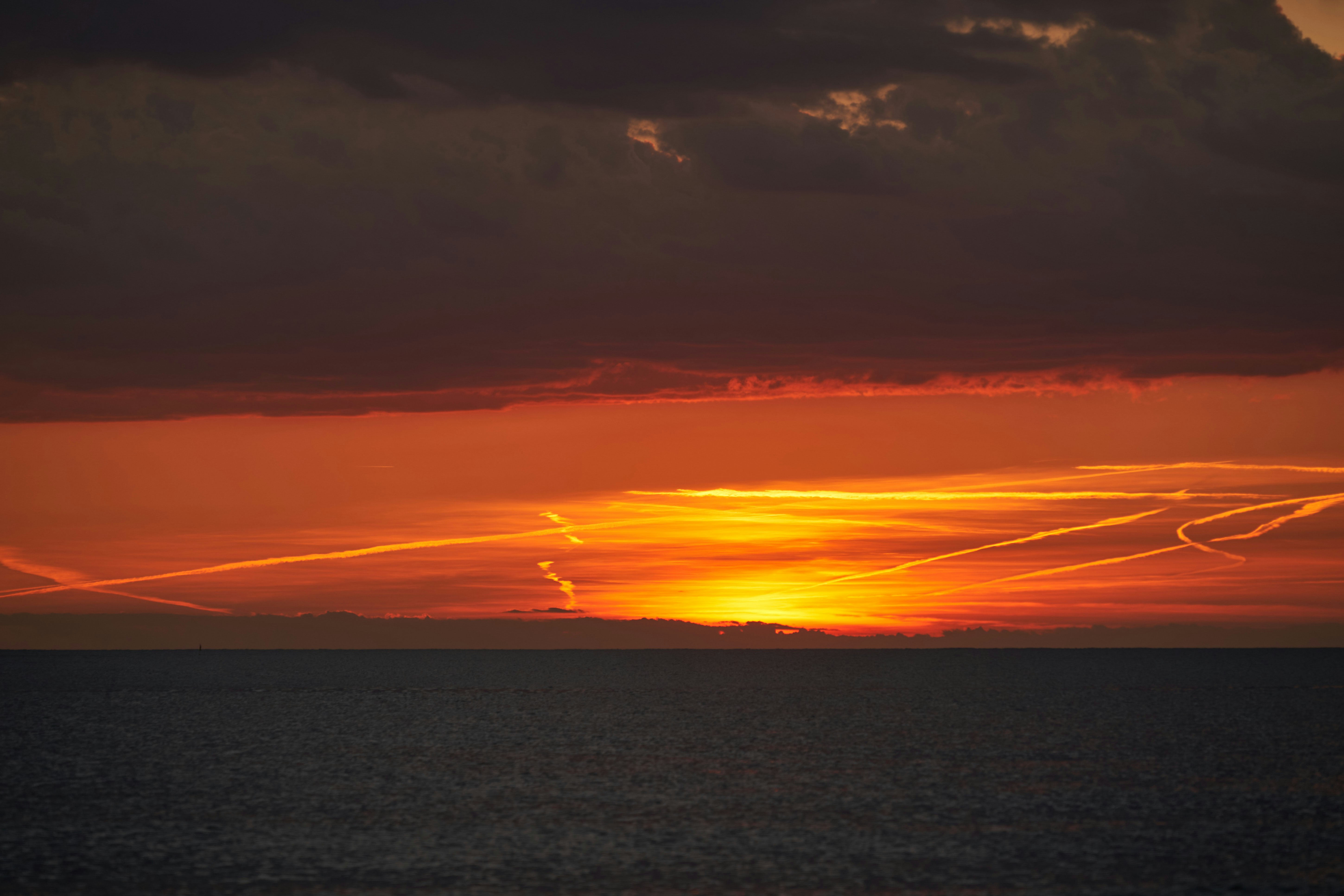 Photo by wolfgang_hasselmann