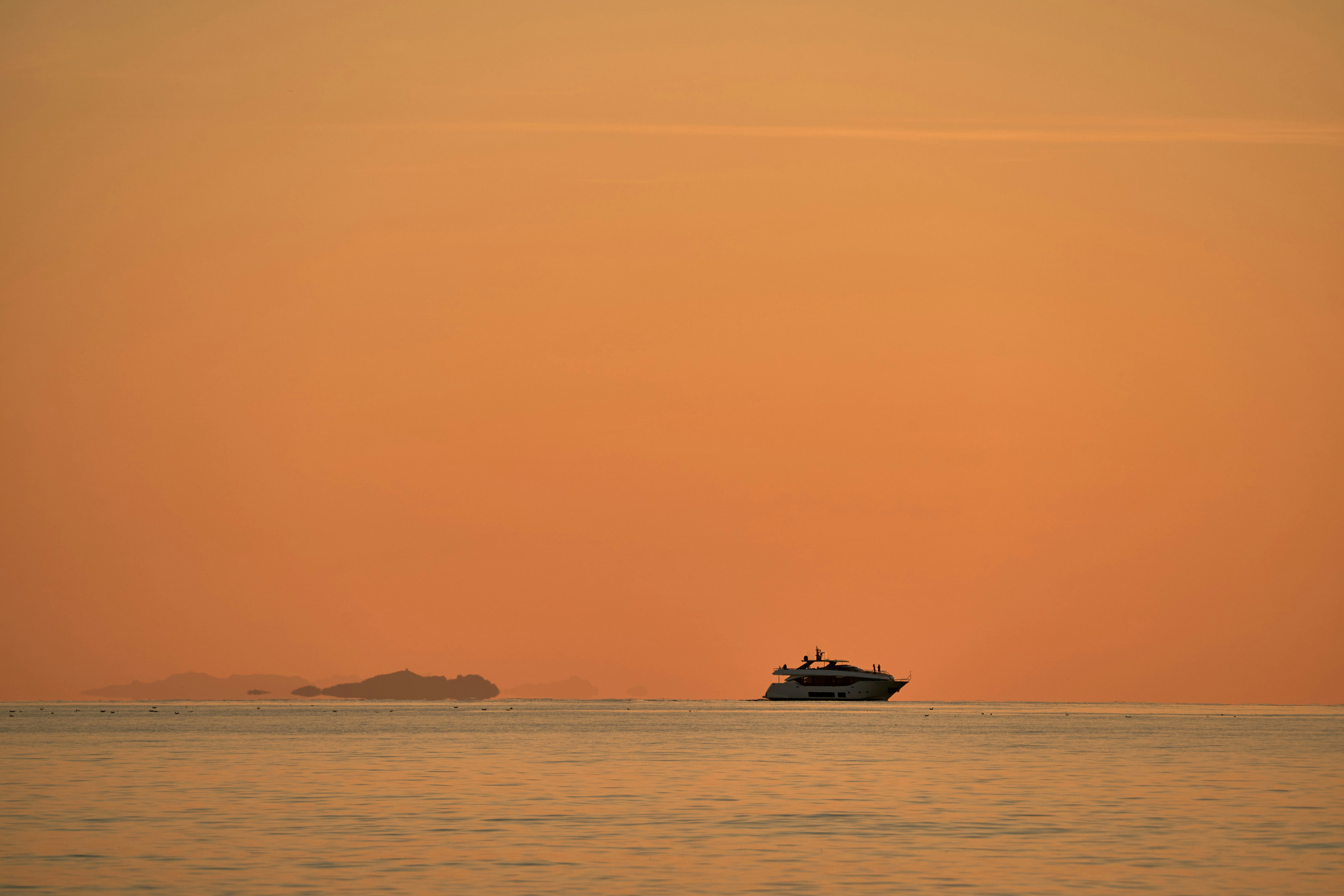 Photo by wolfgang_hasselmann