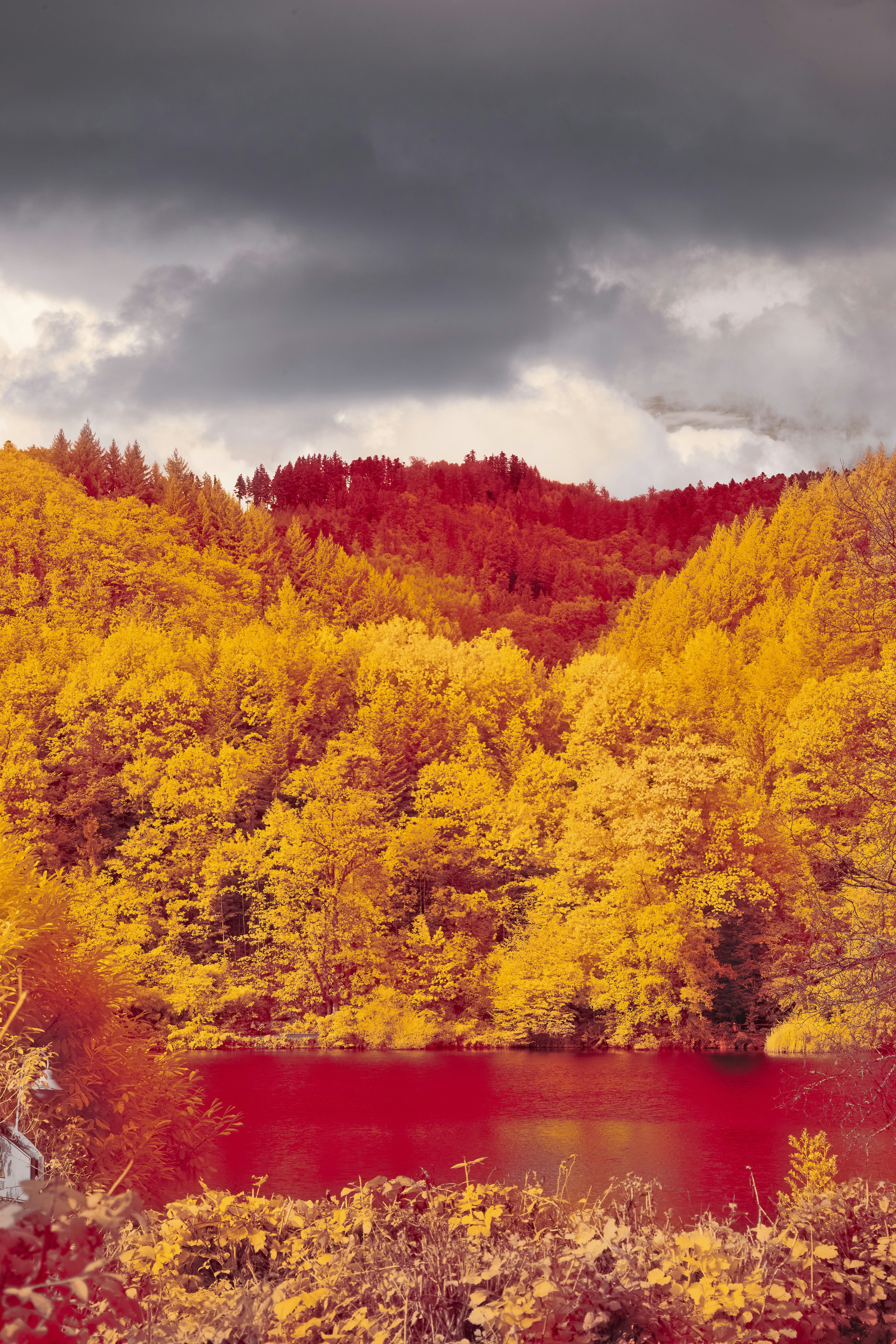 Photo by wolfgang_hasselmann