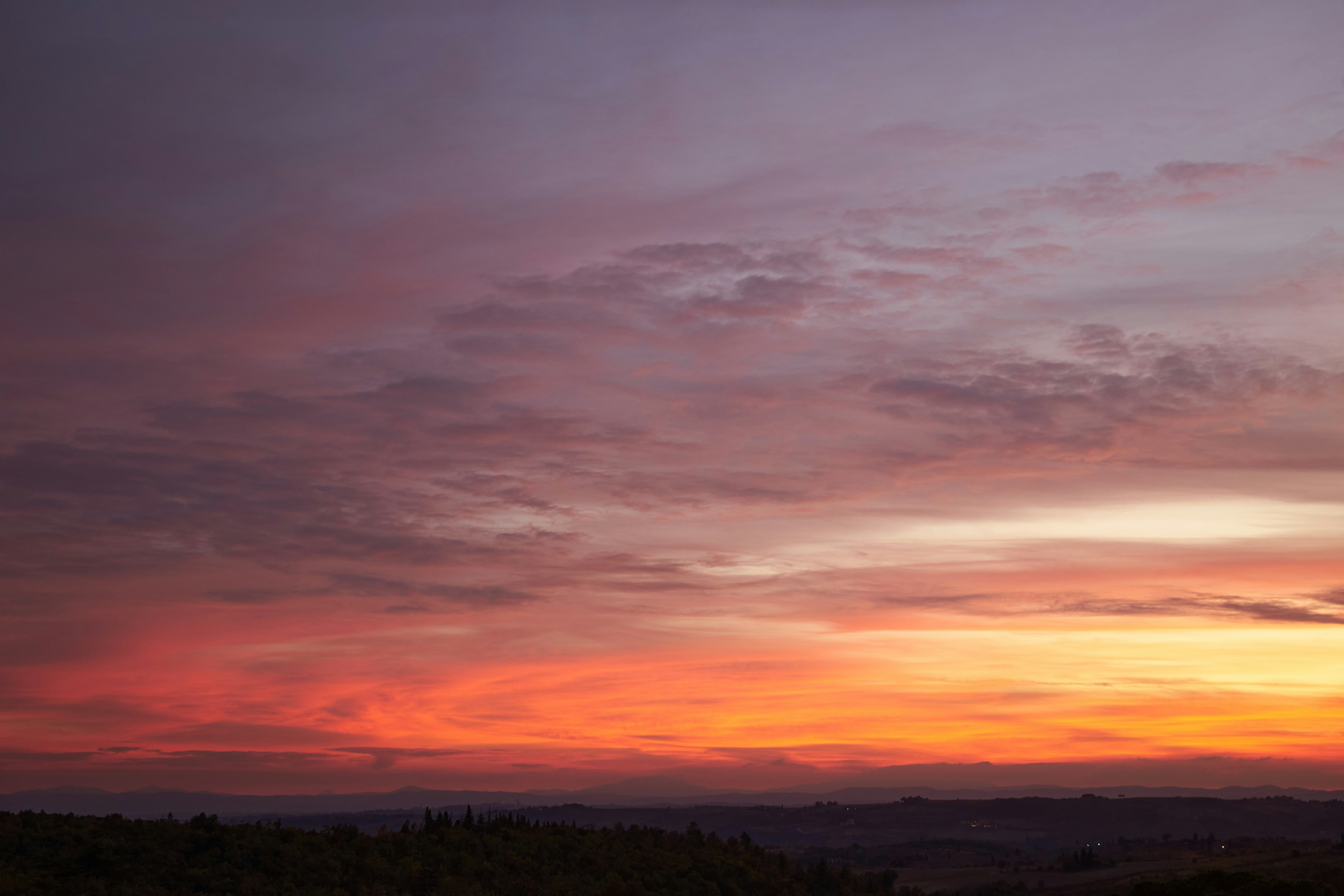 Photo by wolfgang_hasselmann