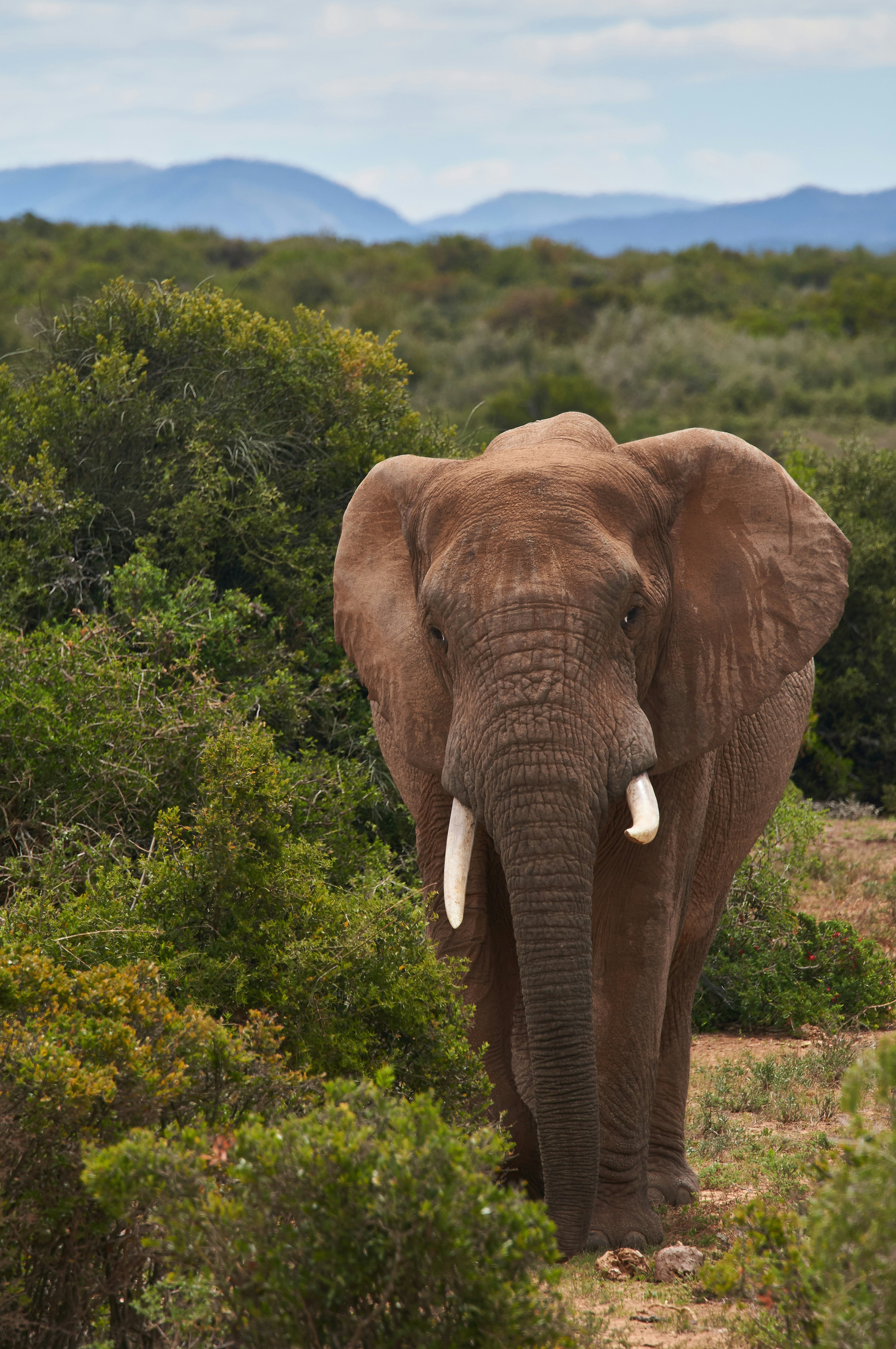 Photo by wolfgang_hasselmann