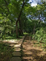 A serene forest path blanketed in warm sunlight and lotus motifs etched in the bark.