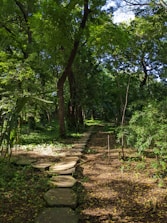 A serene nature path lined with balanced stone cairns under soft, muted daylight.
