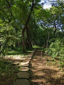 A serene nature path lined with balanced stone cairns under soft, muted daylight.