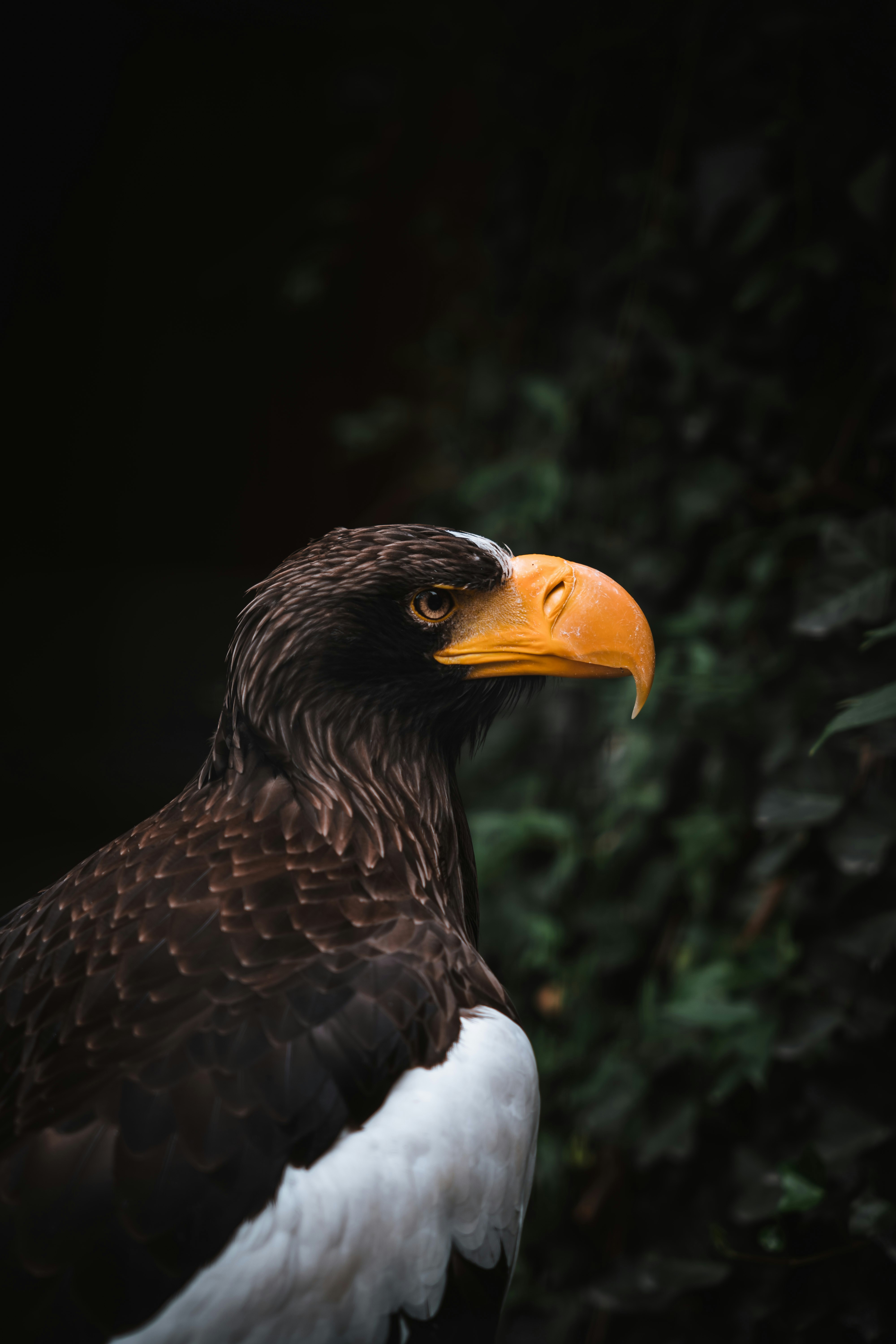 Photo by dermanuskript