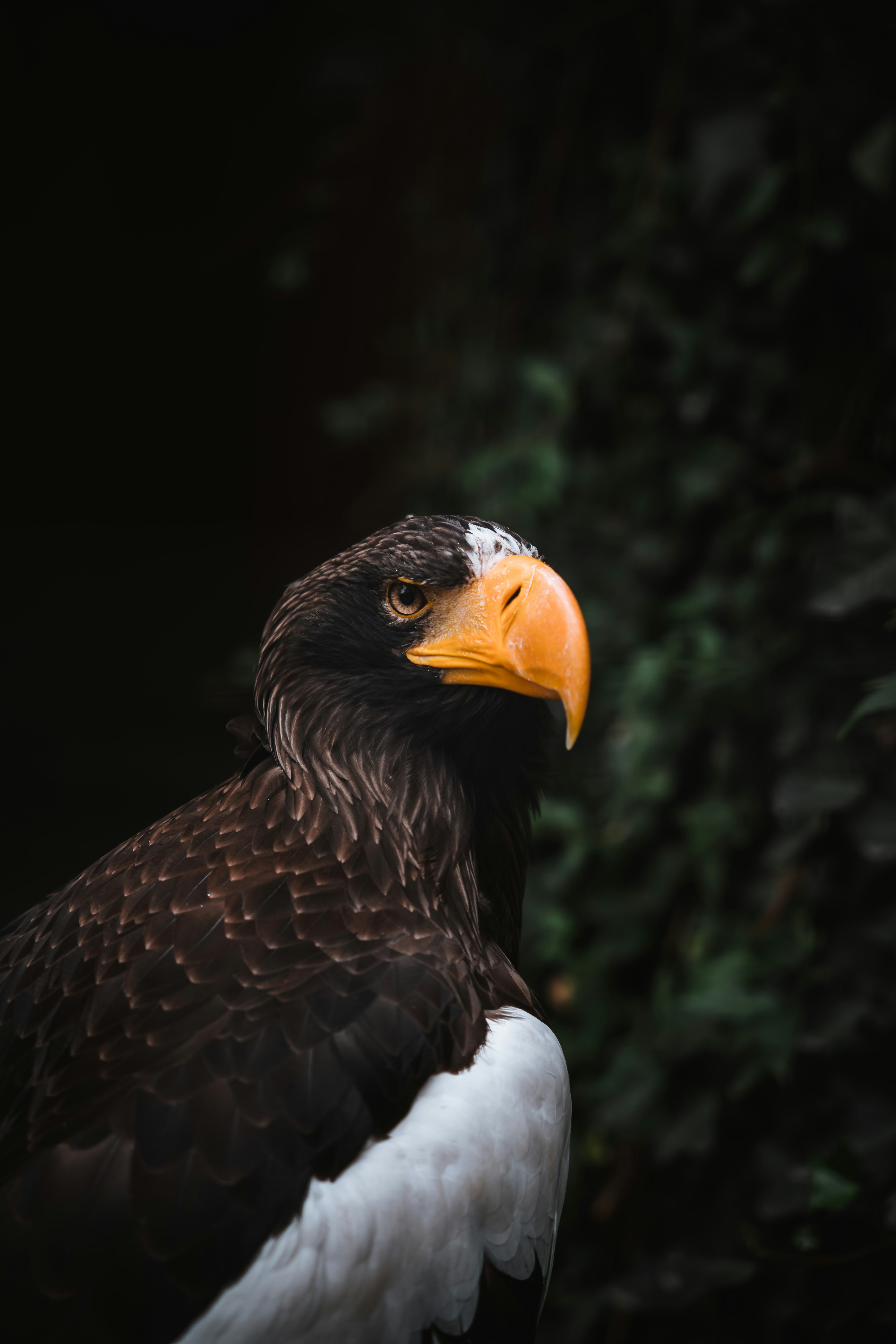 Photo by dermanuskript