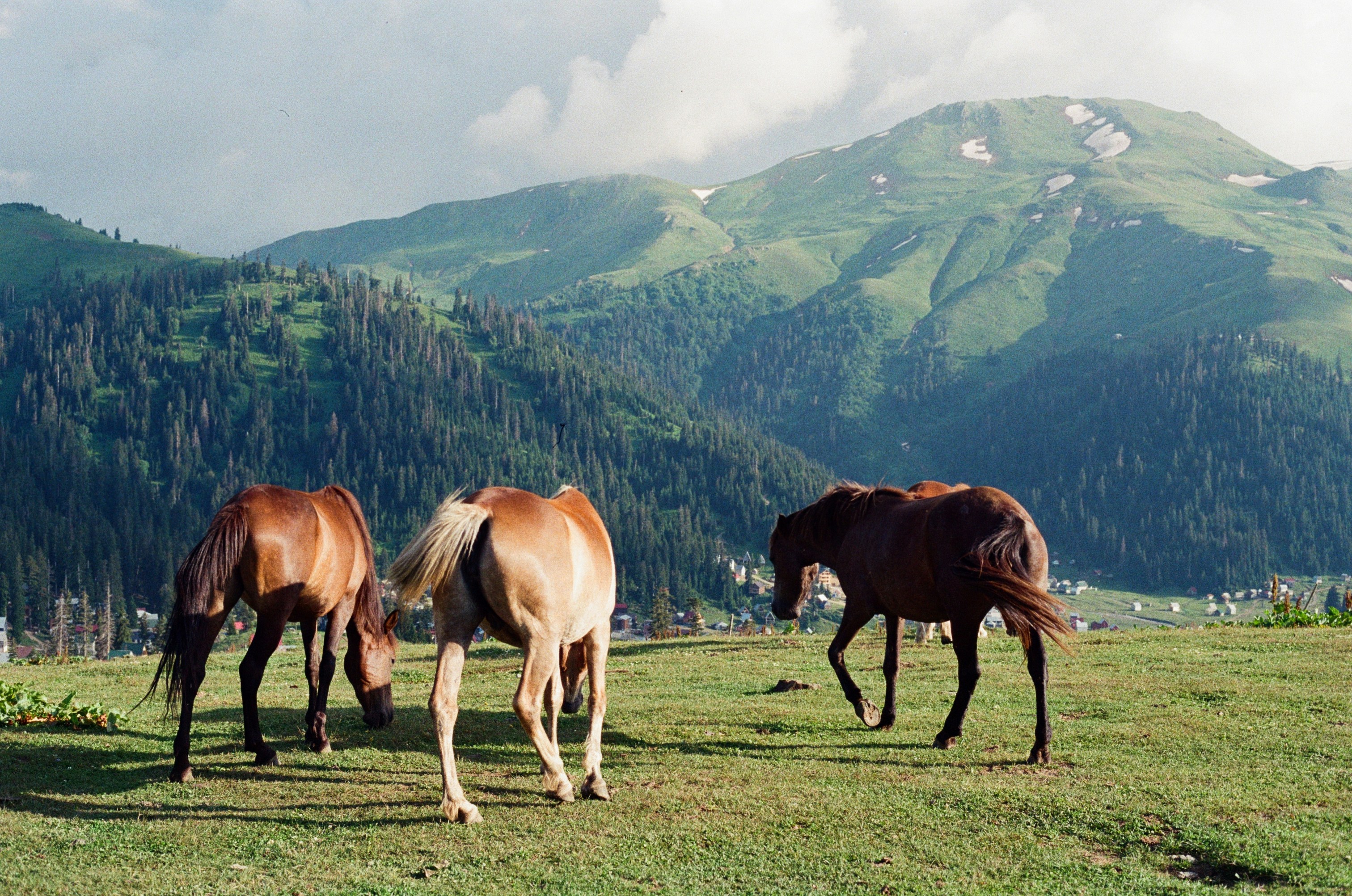 Photo by chesh1recattt