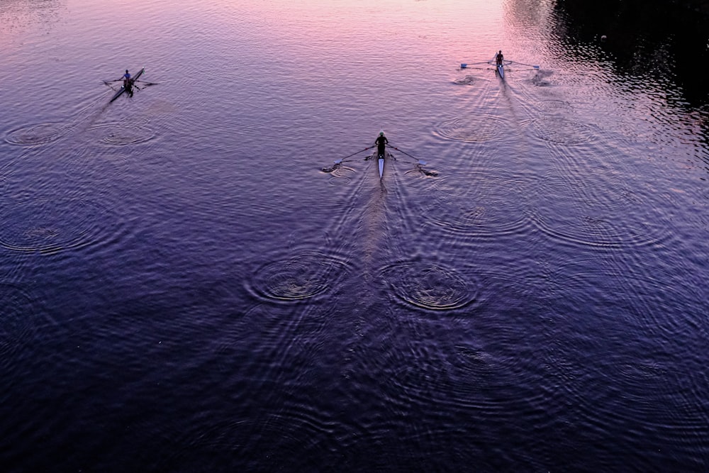 a group of people in the water