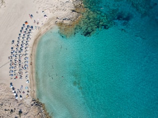 a beach with people on it