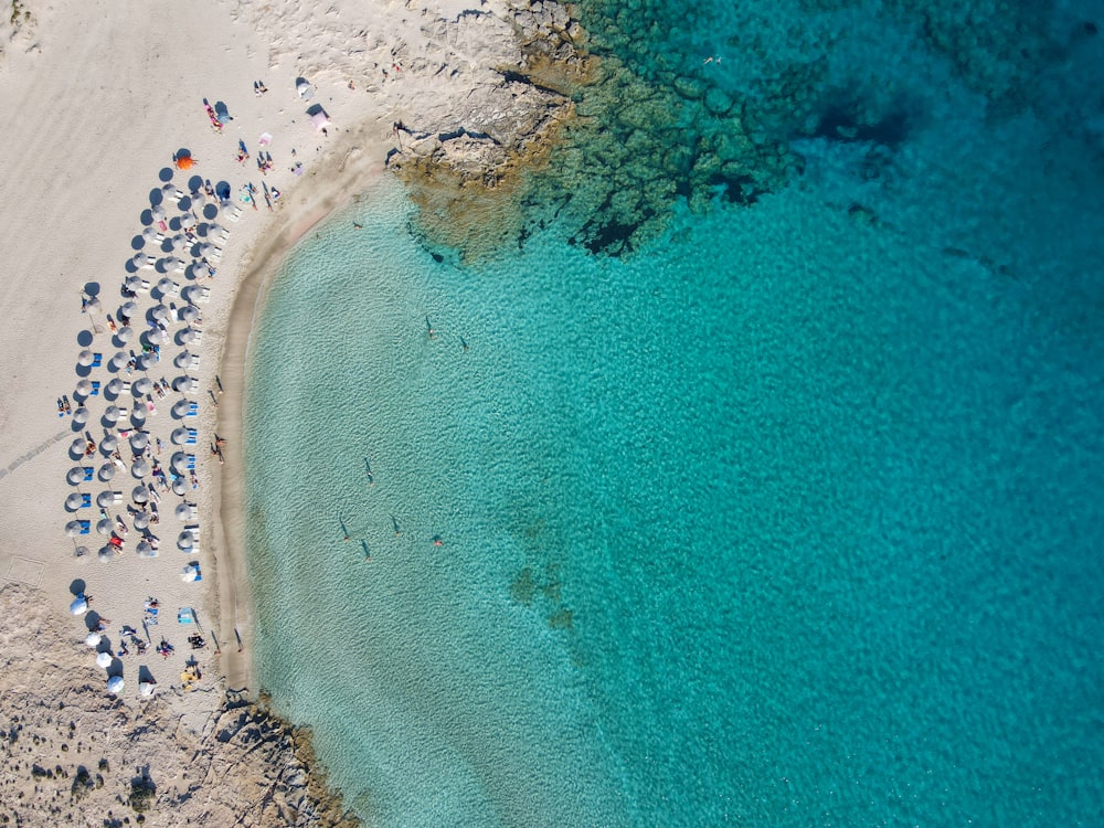 a beach with people on it