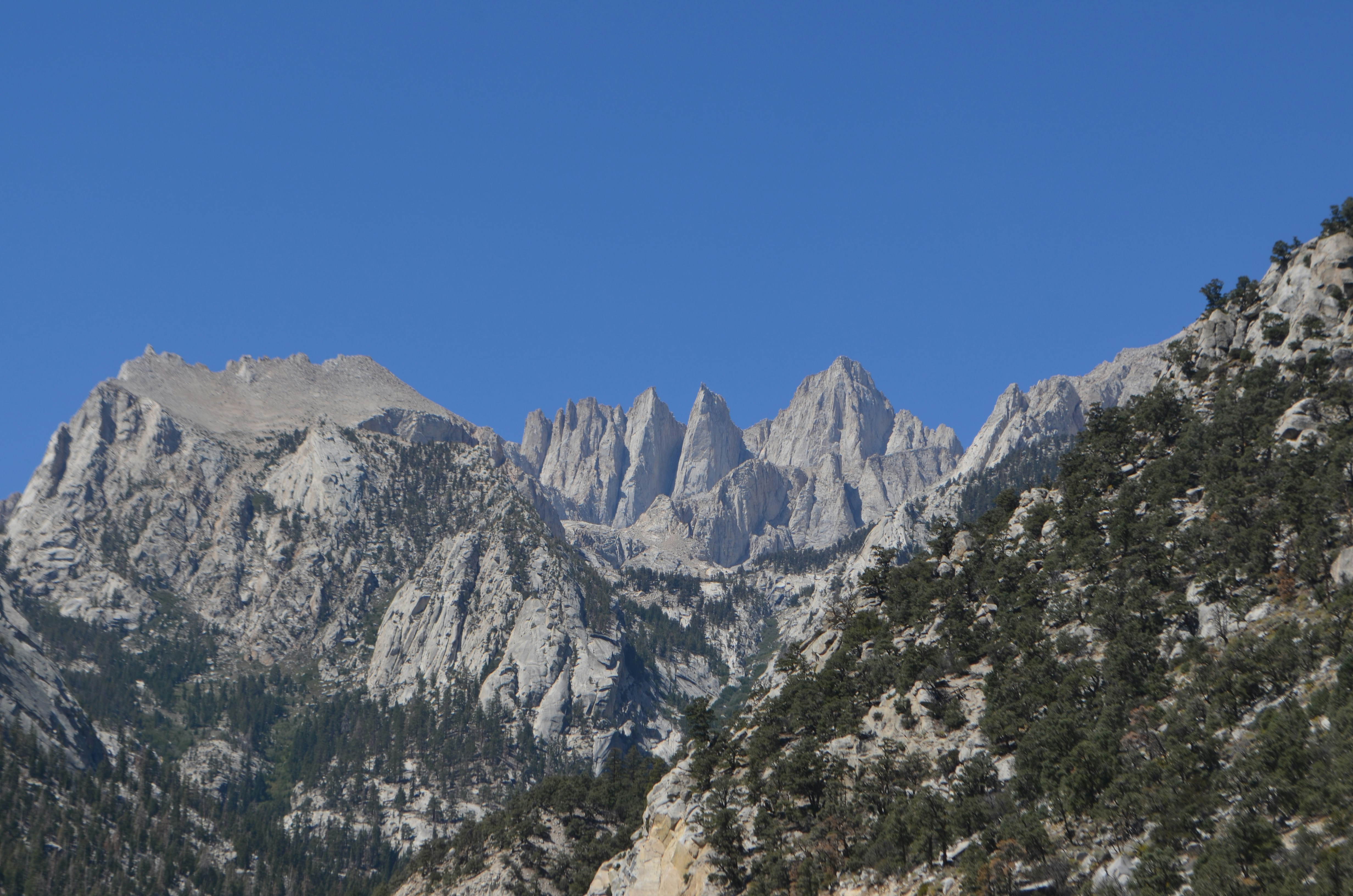 Photo by berlinfirewall