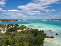 a beach with trees and buildings