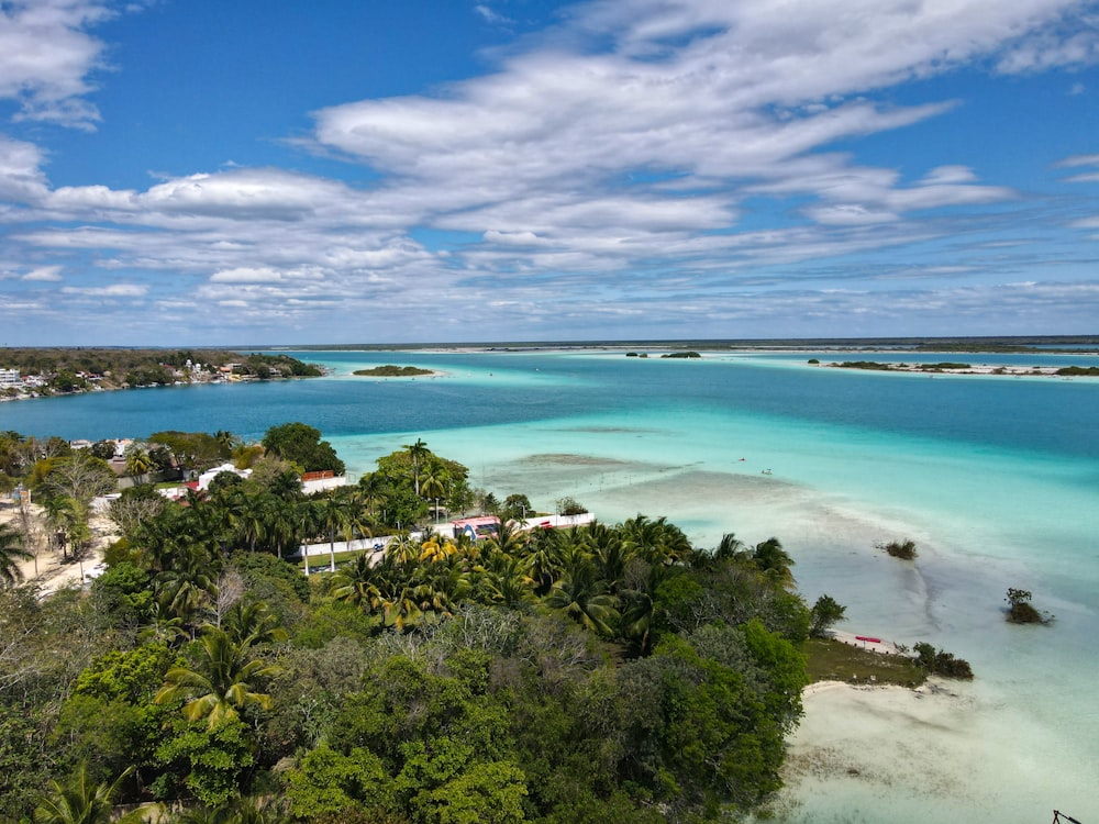 a beach with trees and buildings