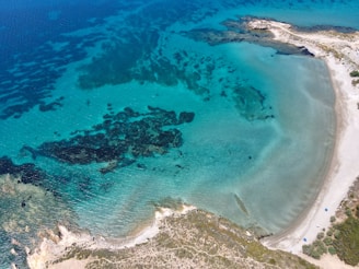 A stunning view of the turquoise waters of Cozumel.