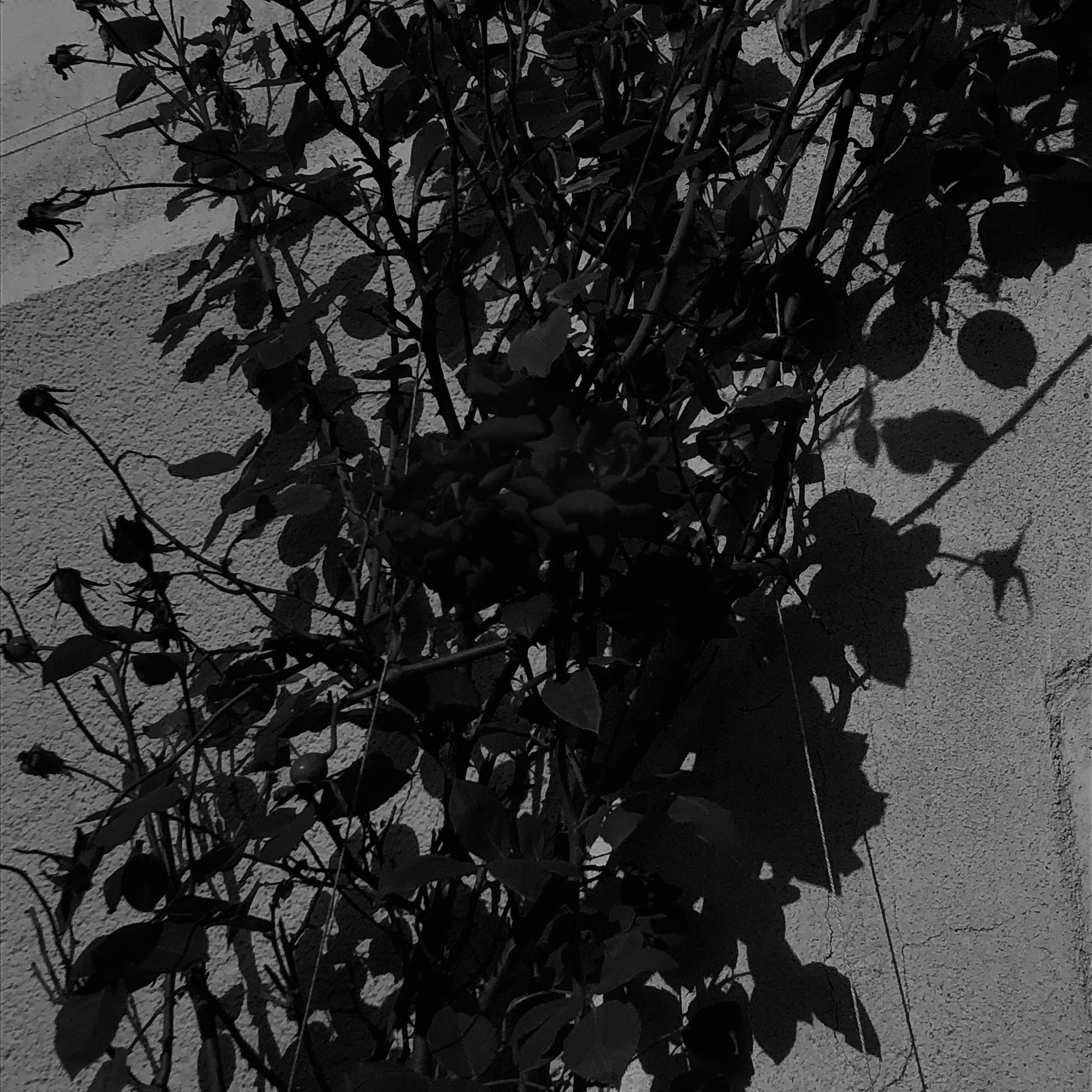 Photo by stephanie21_