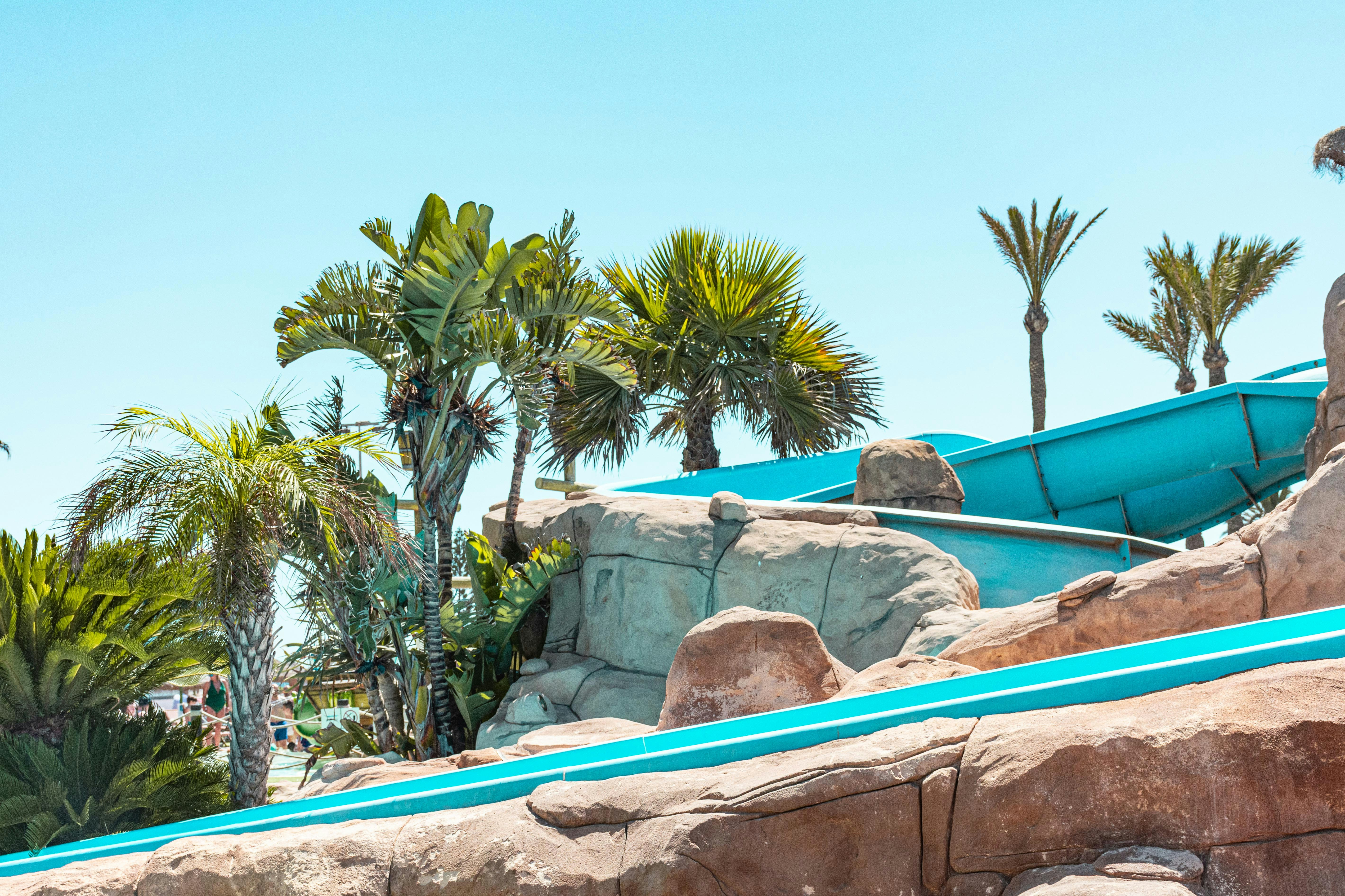 a pool with rocks and trees around it