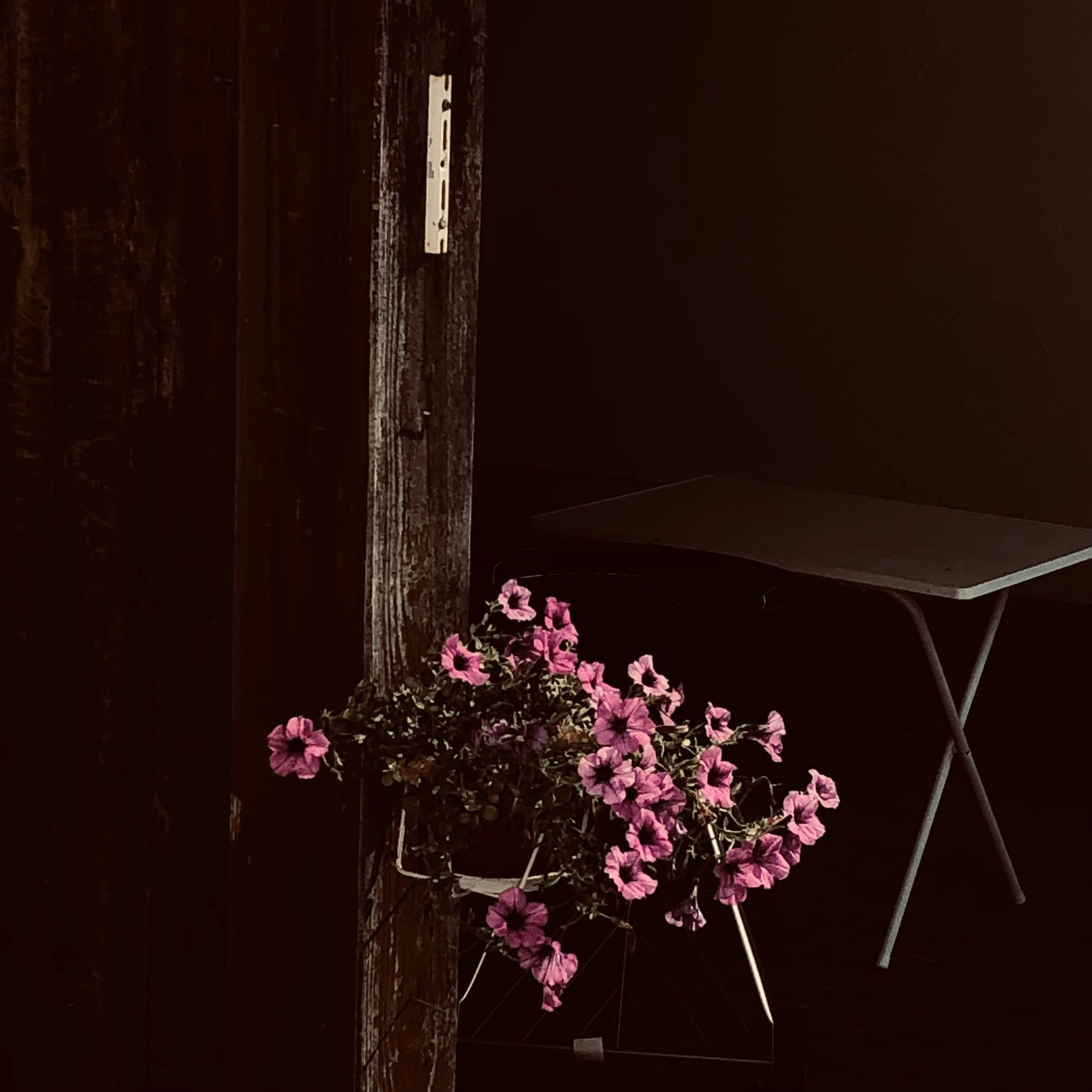 Photo by stephanie21_