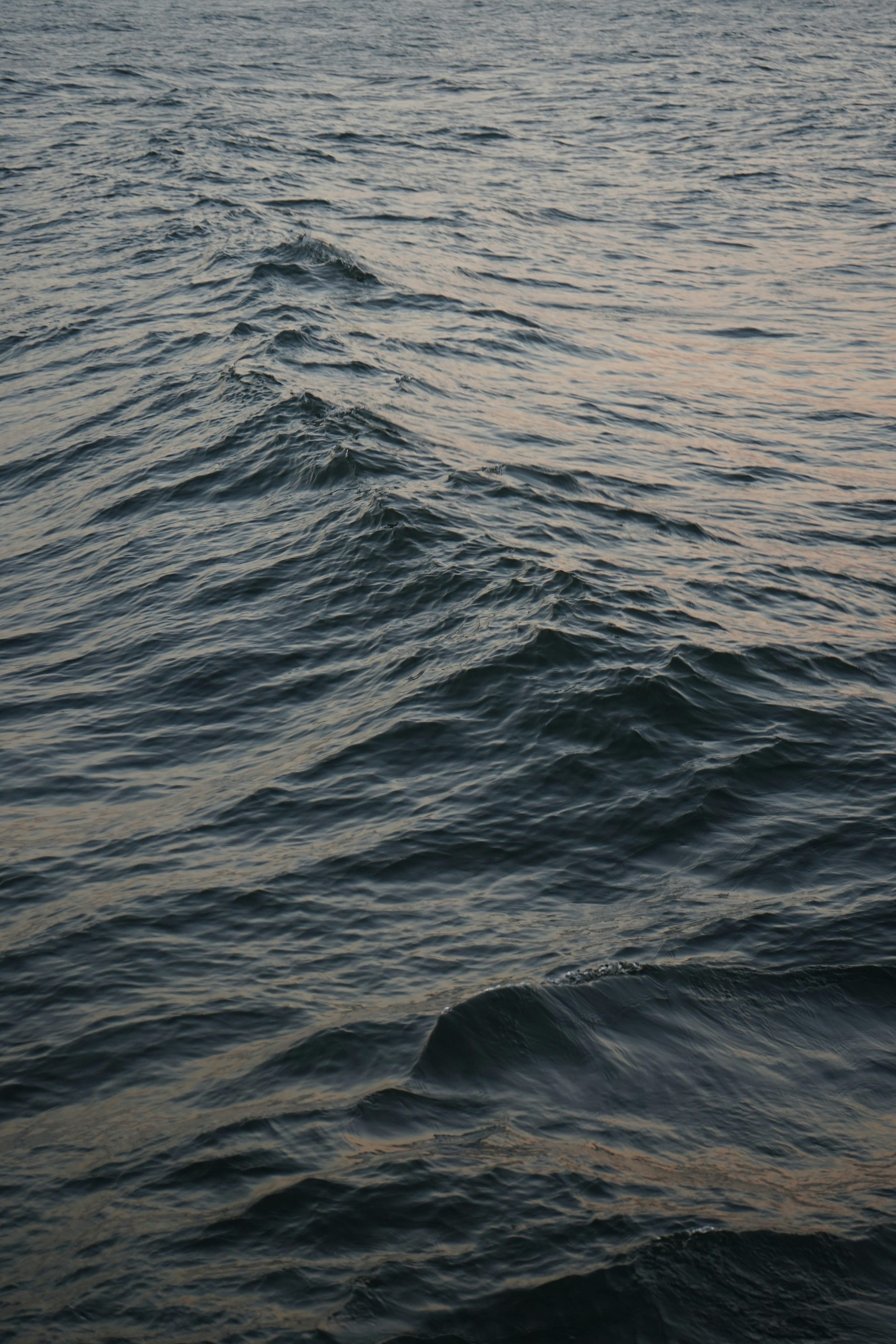 Photo by martamoltzahn