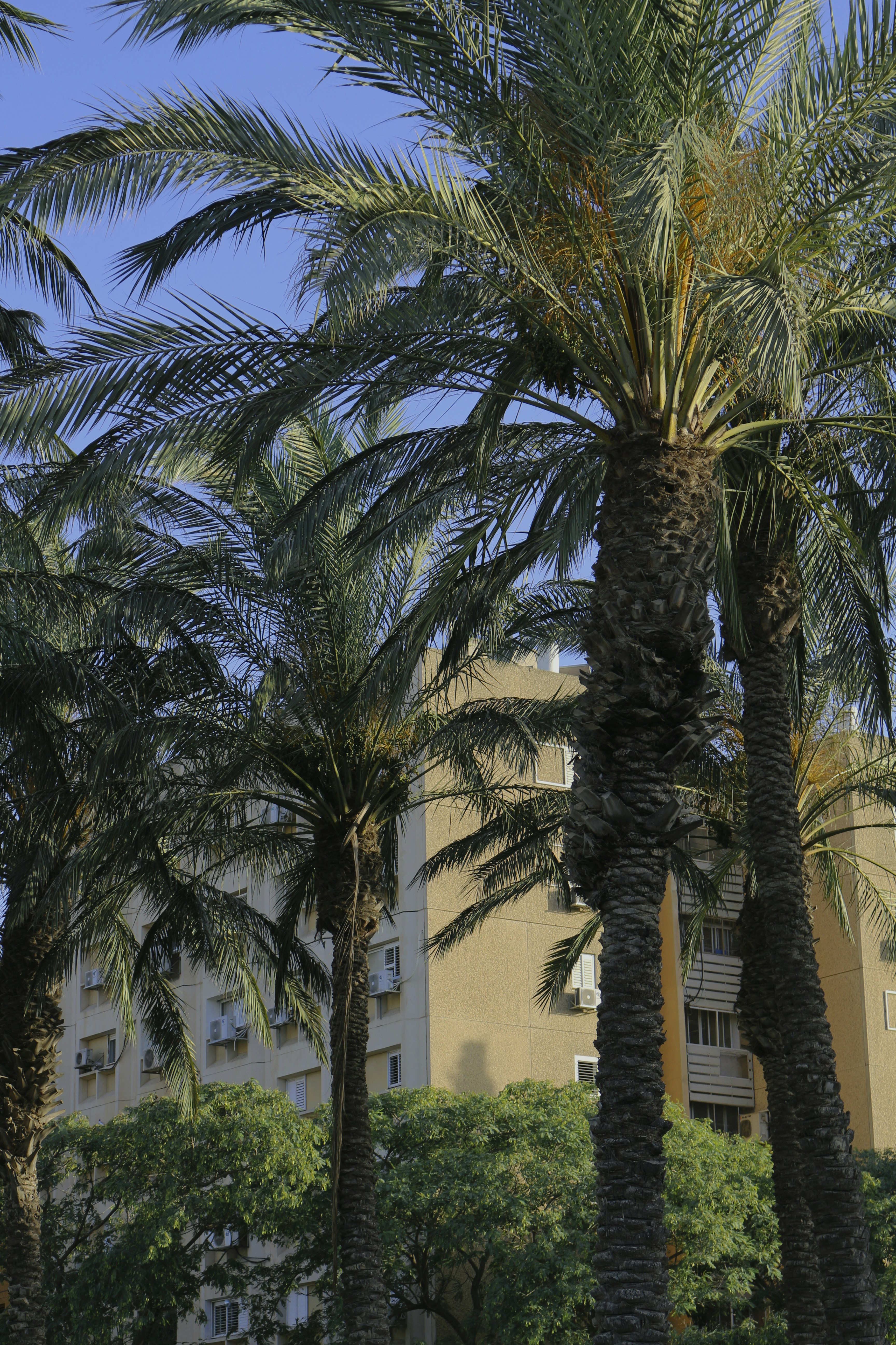 Photo by mary_winchester