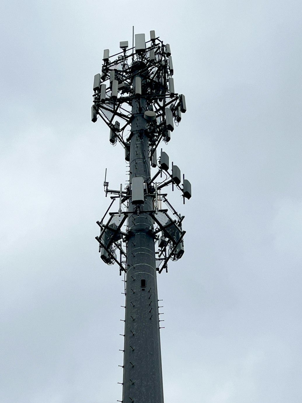 Cell phone tower