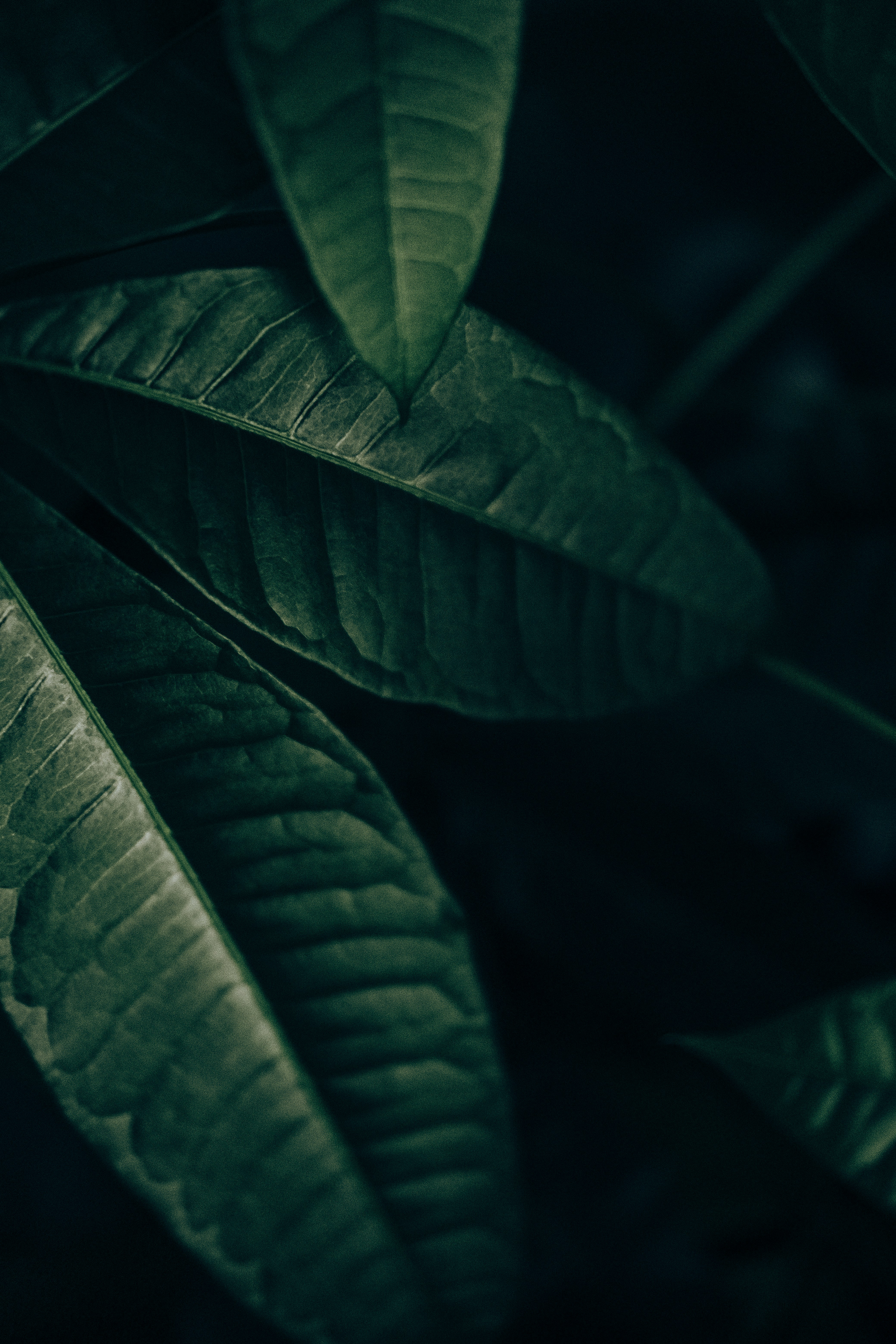 Photo by danjayjefferson