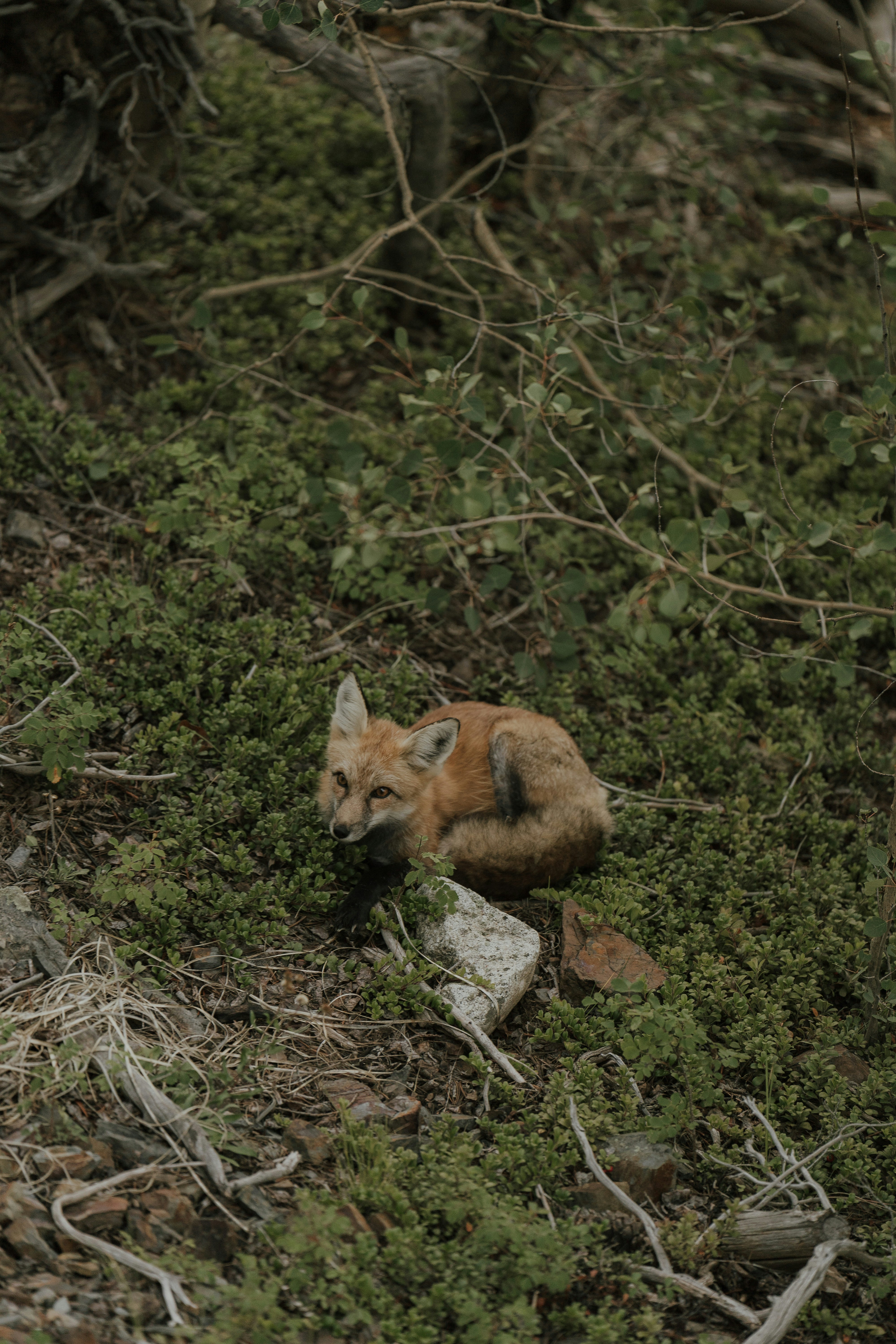 Photo by nomadicfitlust