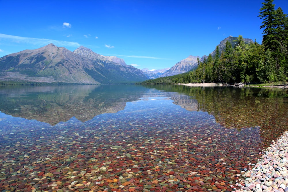 Un lago con una montagna sullo sfondo