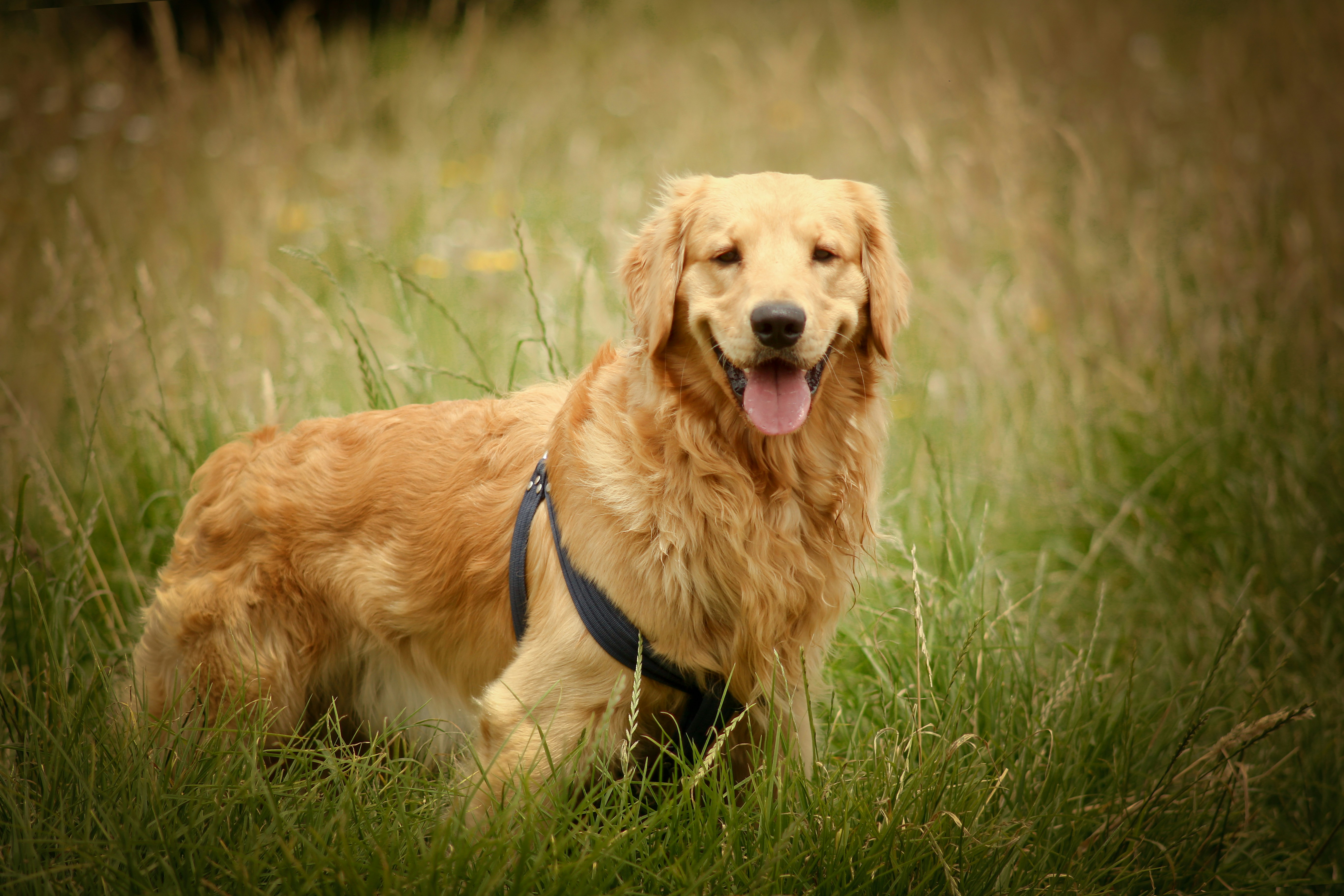 Photo by faberleonardo