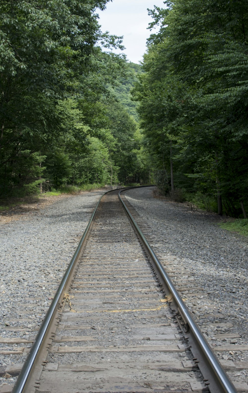 a railroad track with trees on either side of it