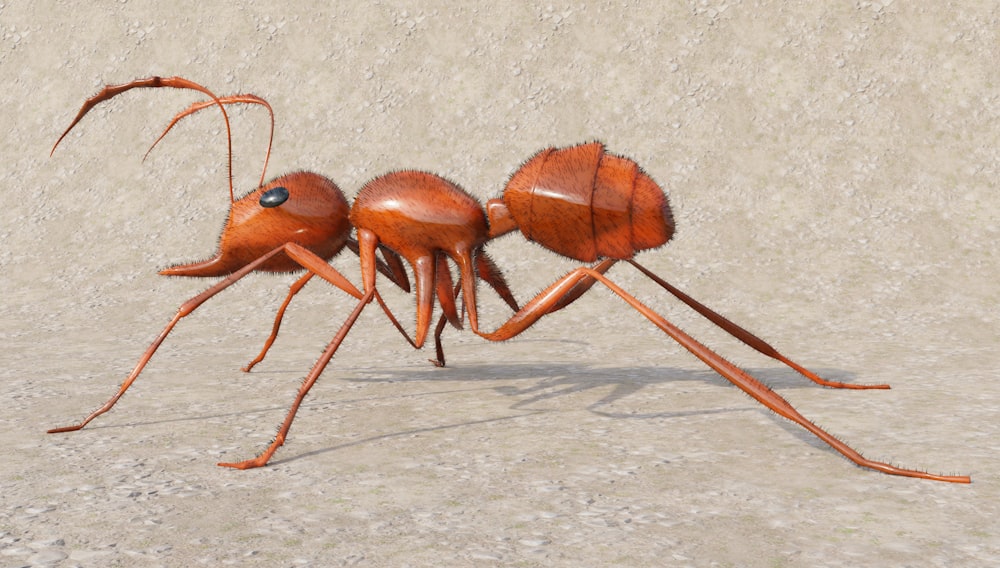 un groupe de fourmis