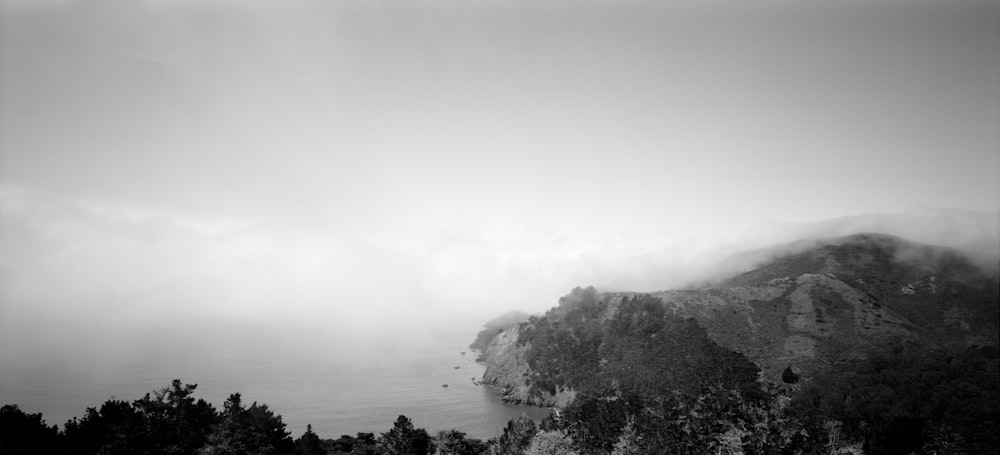 a foggy valley with trees