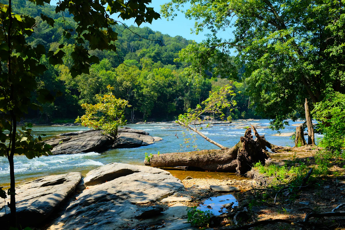 The South Fork of the Shenandoah River running past rocks and trees