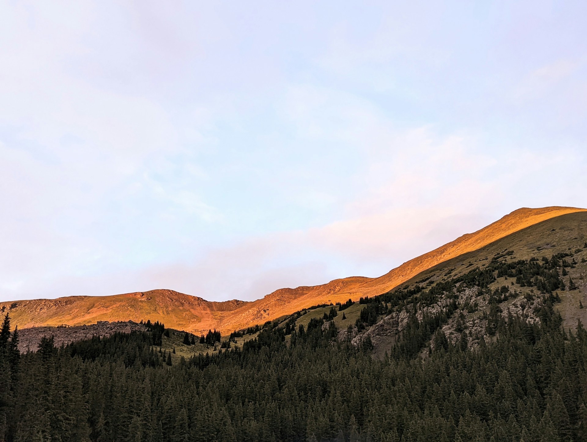 black and brown leather padded tub sofa