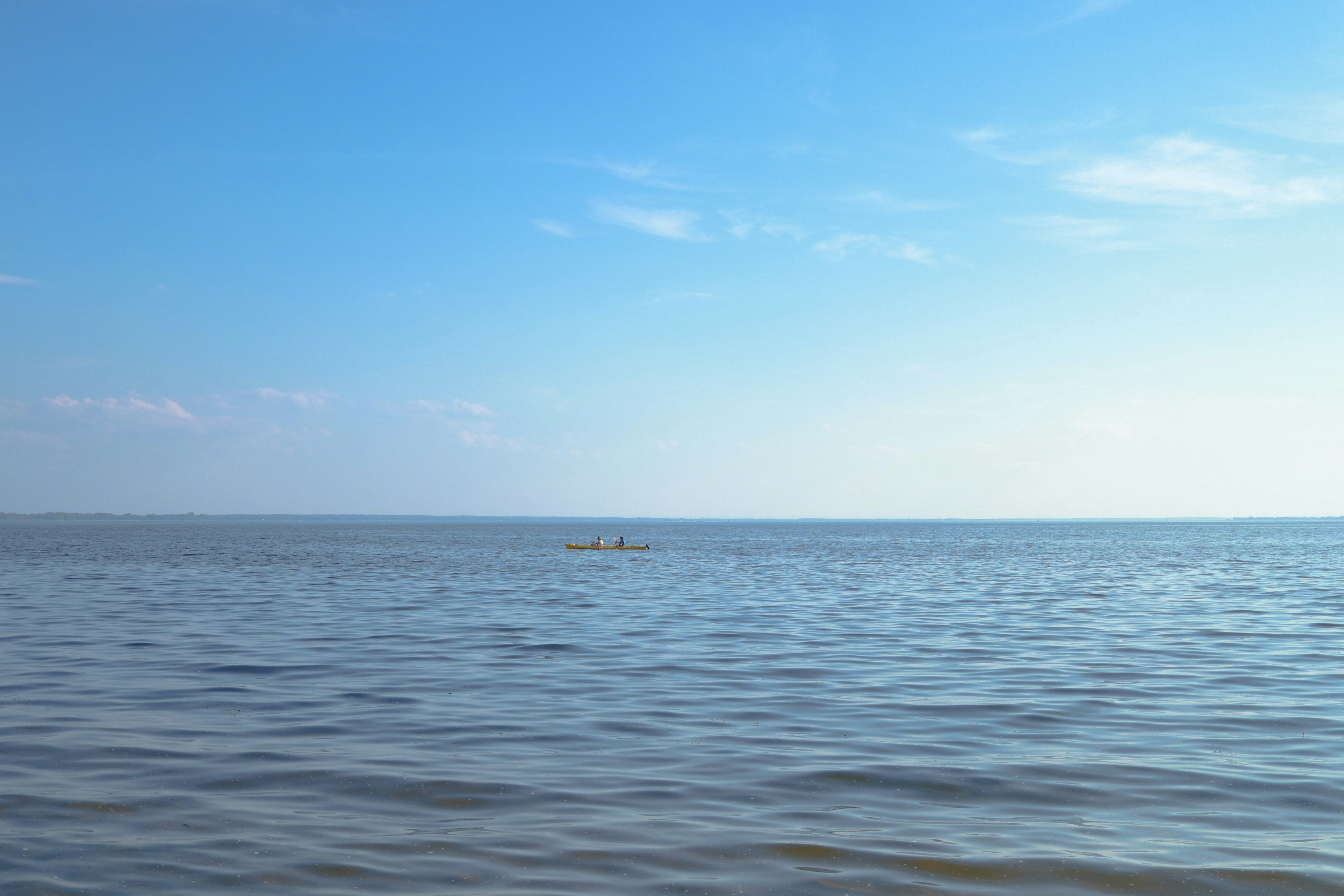 MBTI 관련 이미지 3